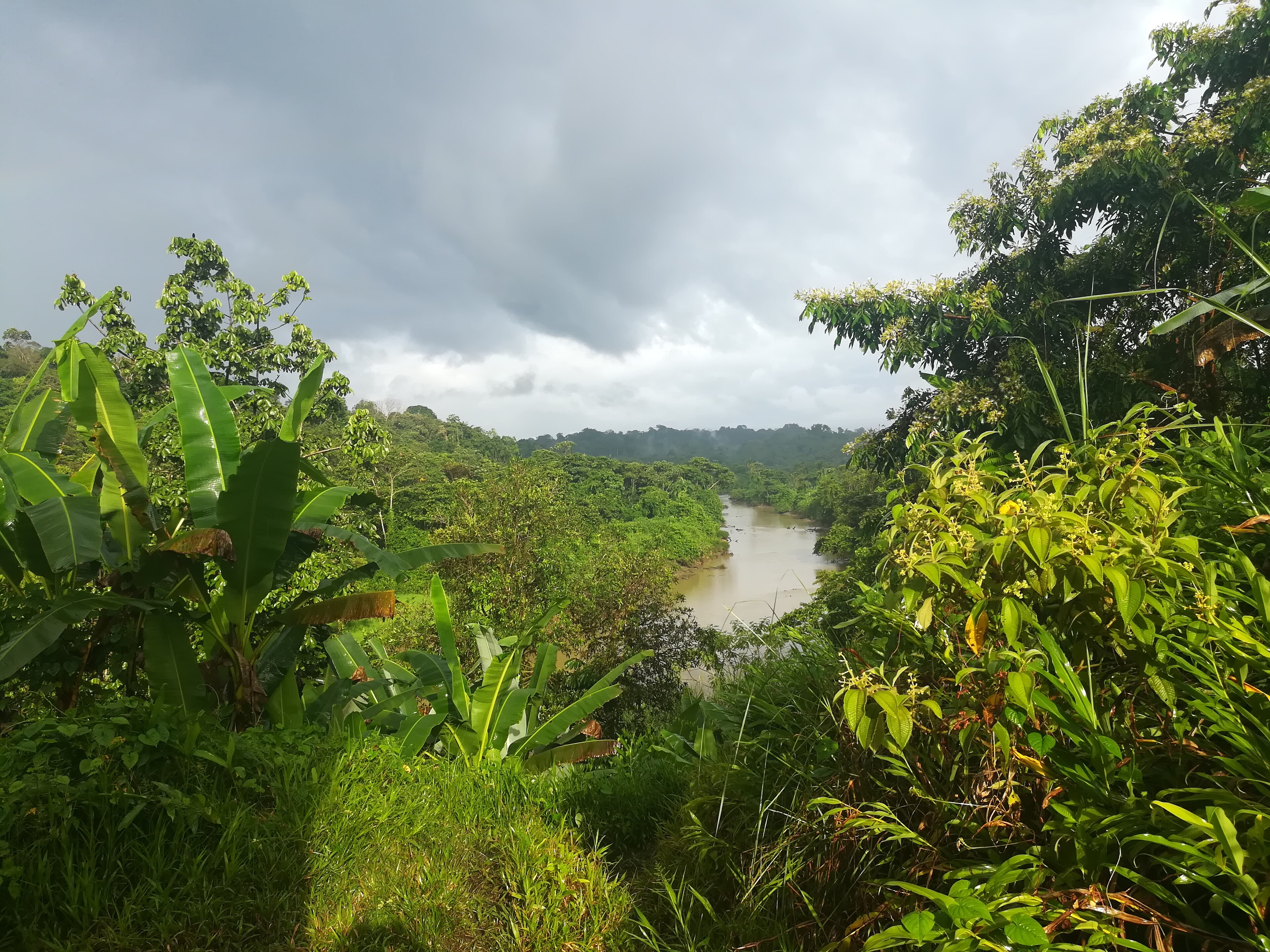 Minca, Sierra Nevada de Santa Marta landscape