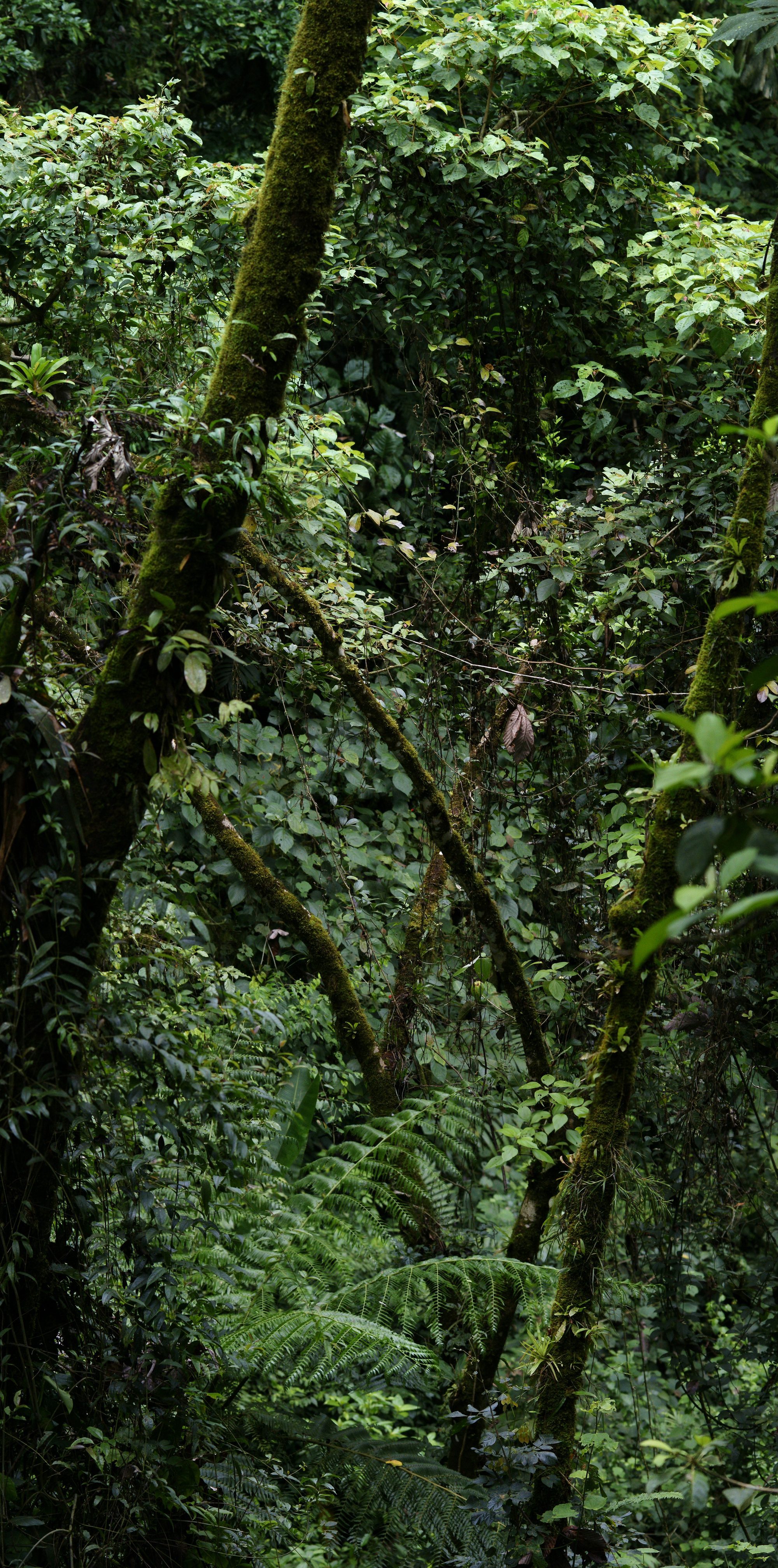 Costa Rica