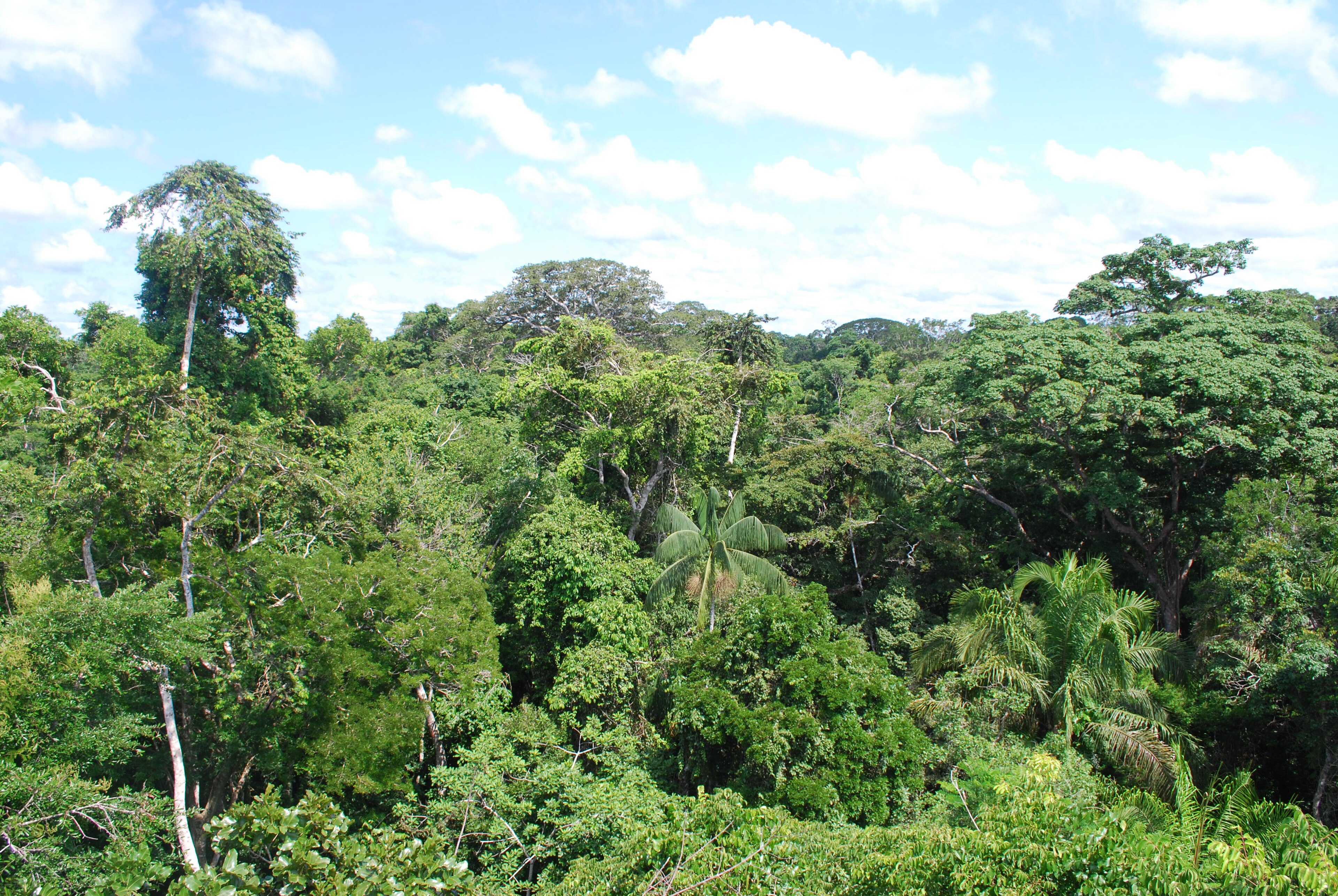 Peru
