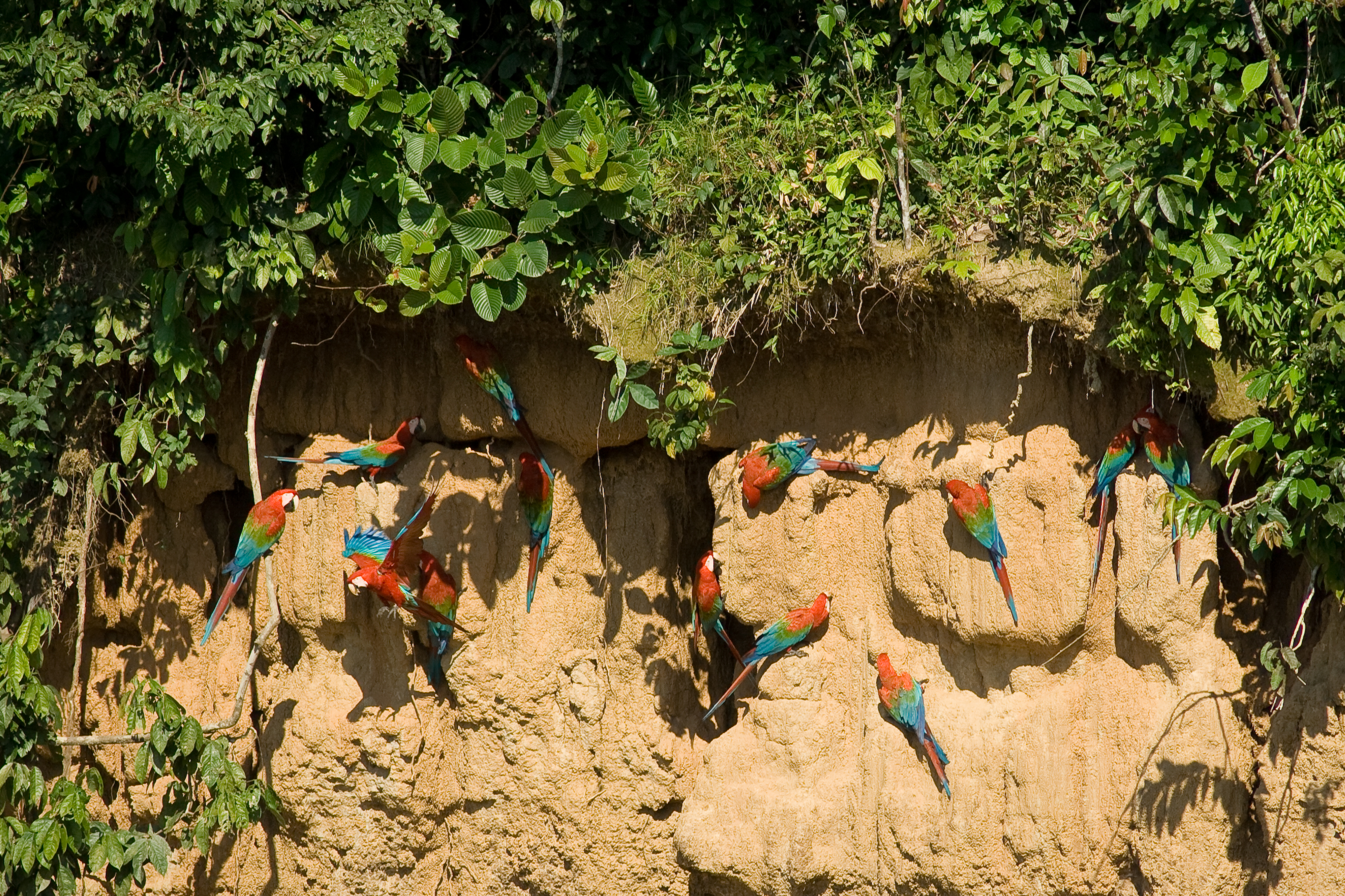 Tambopata, Infierno community (Madre de Dios) landscape