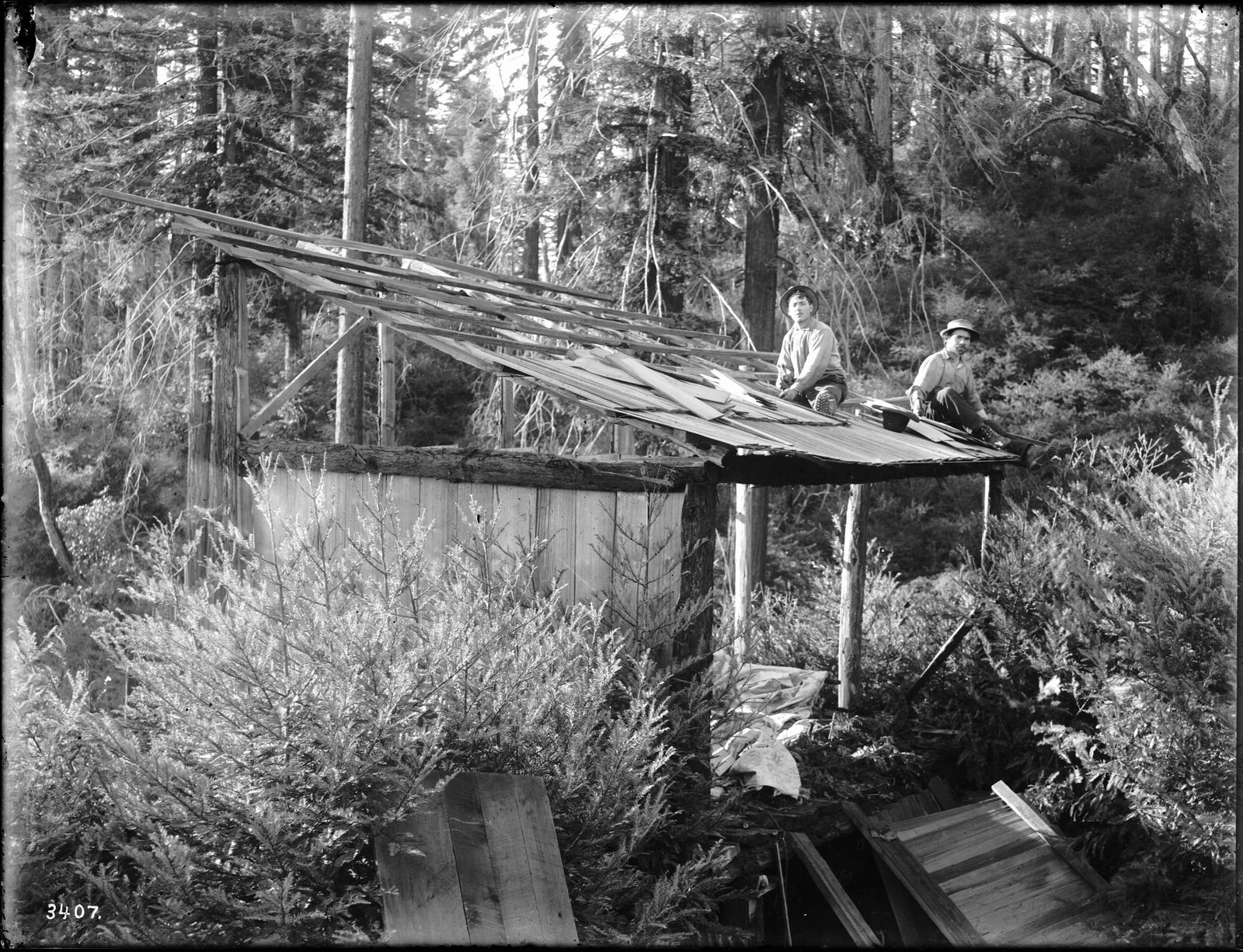 A-Frame Cabins in the Jungle