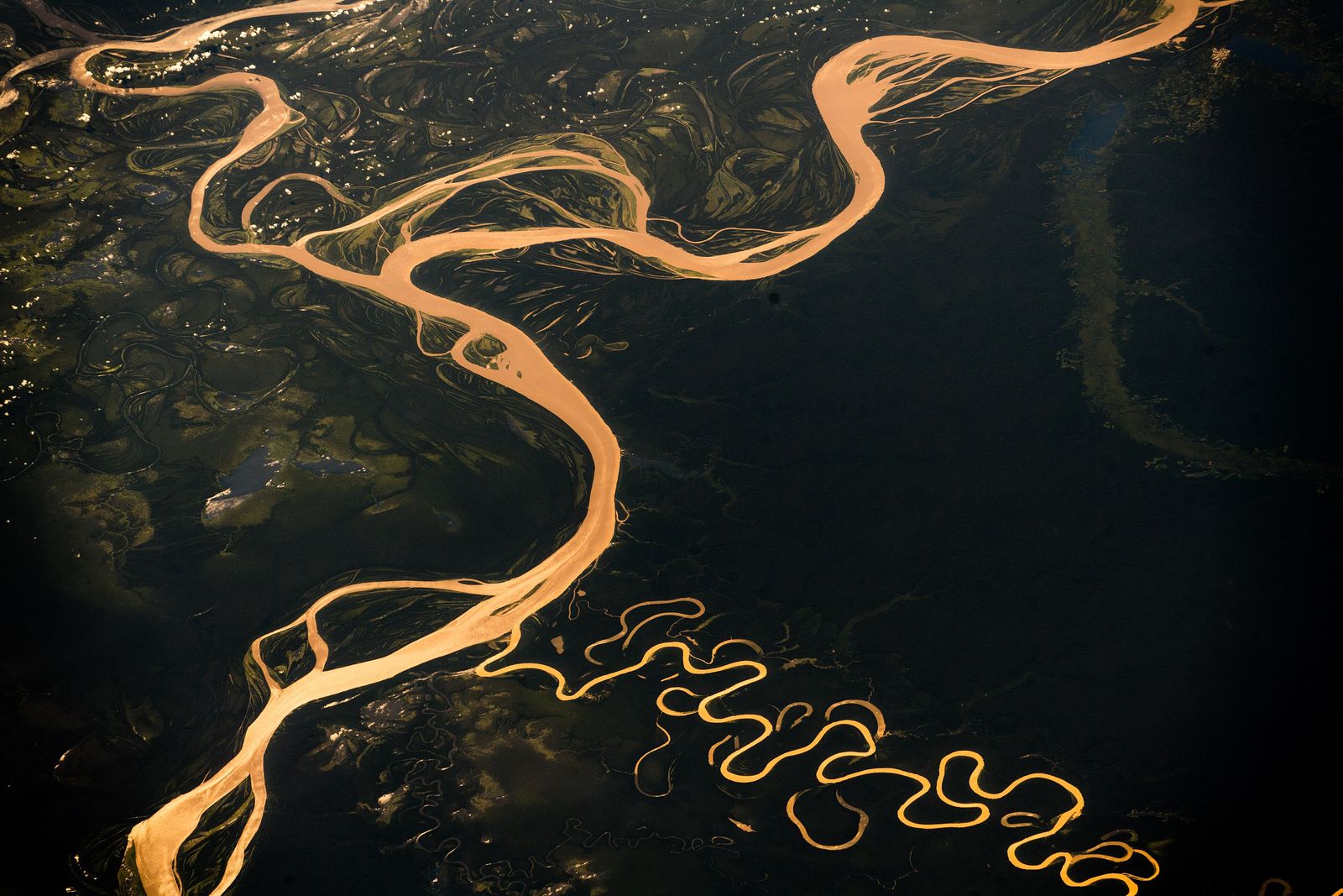 The Amazon Rainforest: A Traveler's Guide