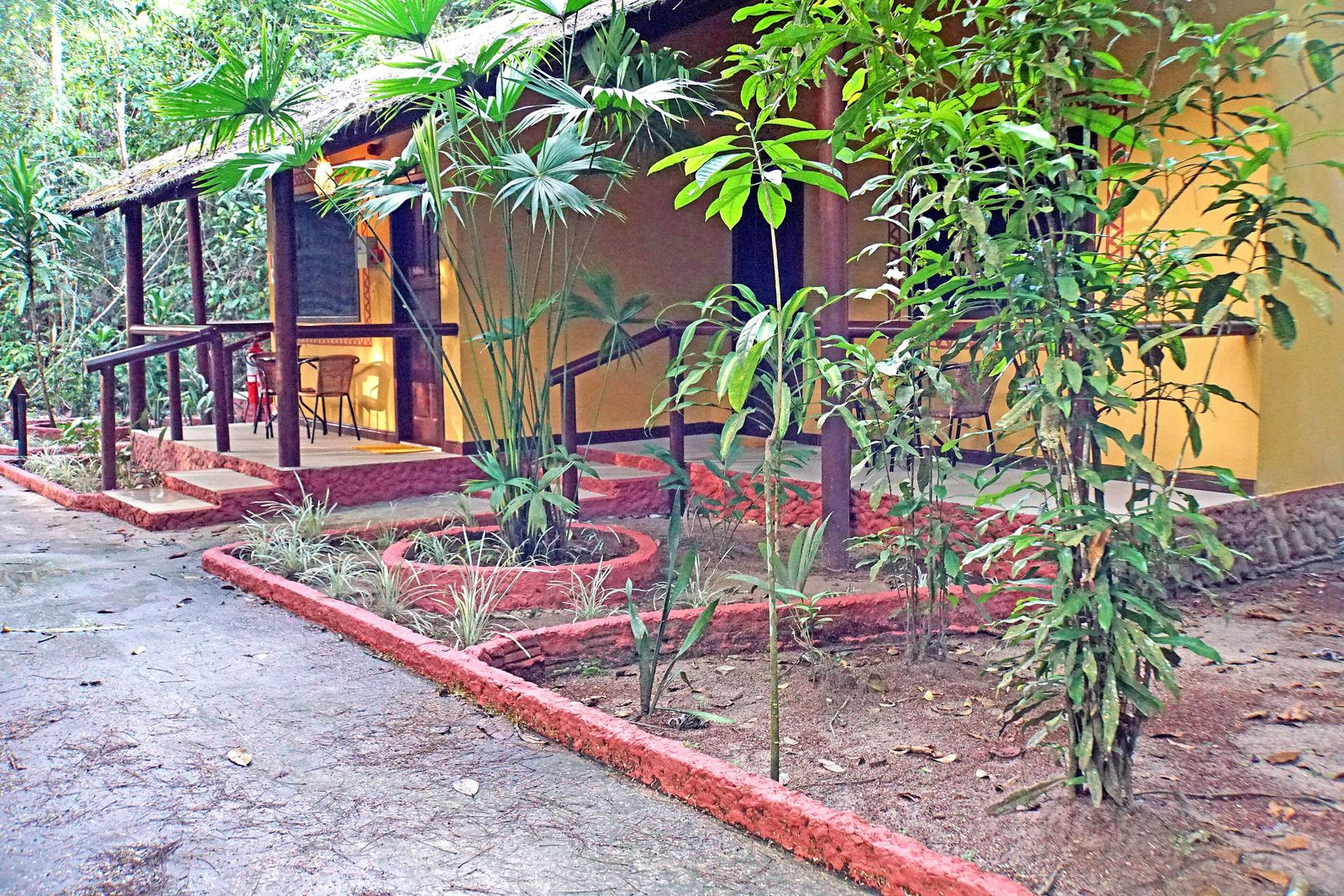 The Best Budget Jungle Airbnbs Under $100