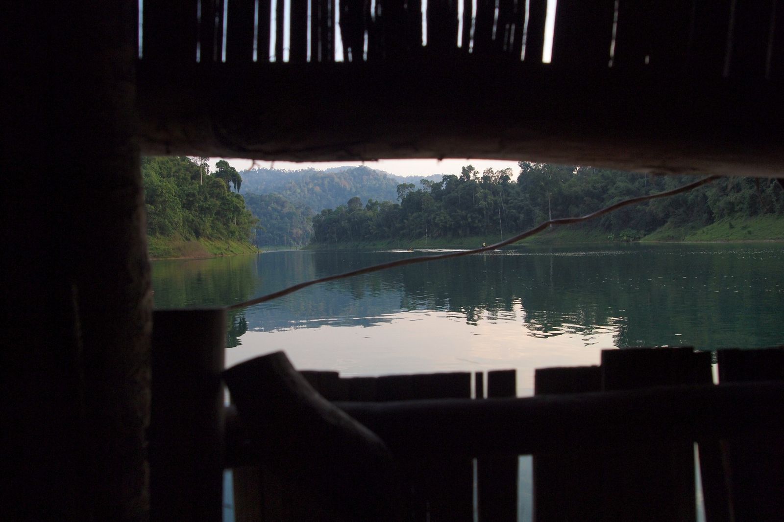 A simple wooden hut with a thatched roof set among dense tropical forest