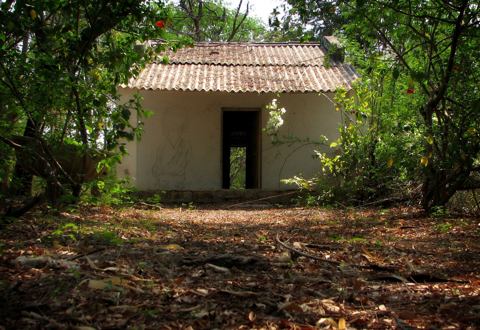 The Best Jungle Airbnbs for Couples
