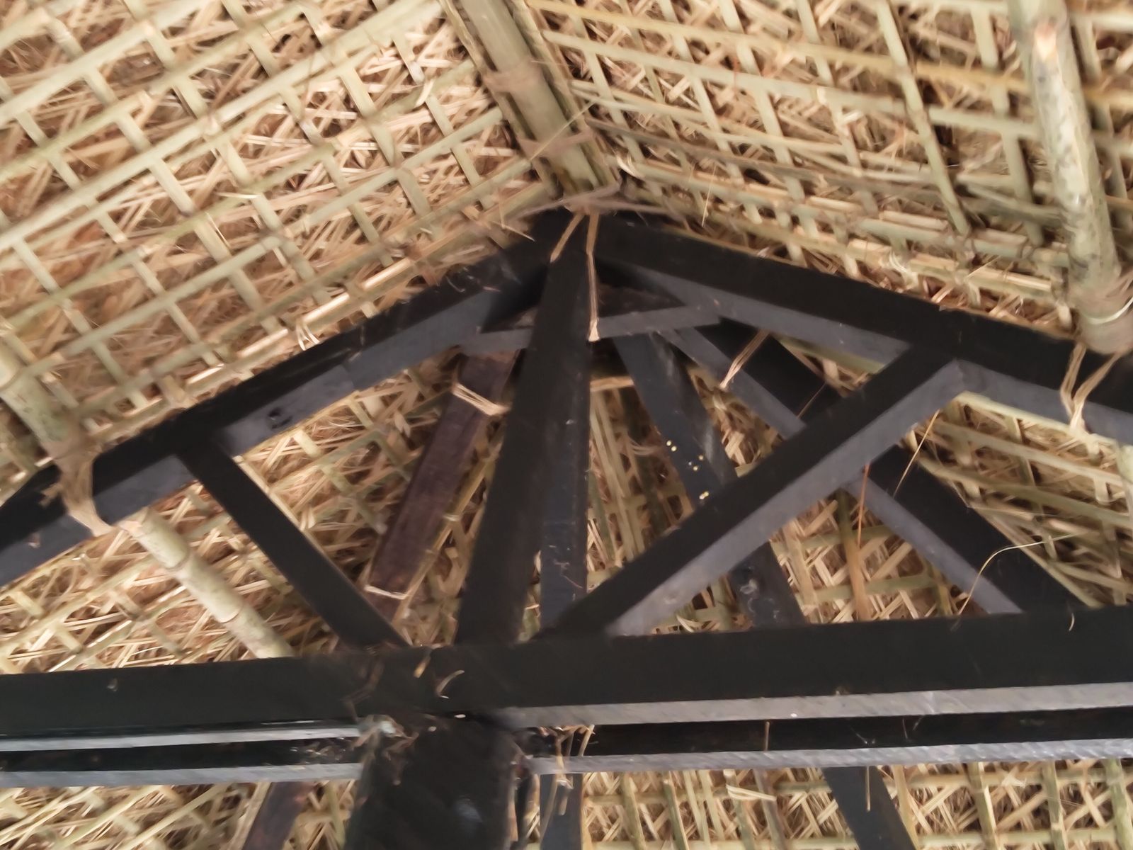 Bamboo house rising above a jungle valley in Bali