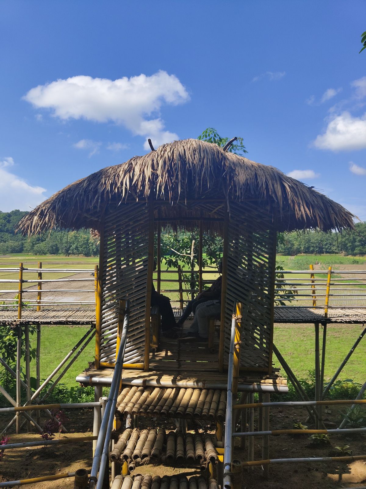 Desk built into a bamboo house workspace overlooking the jungle canopy in Bali