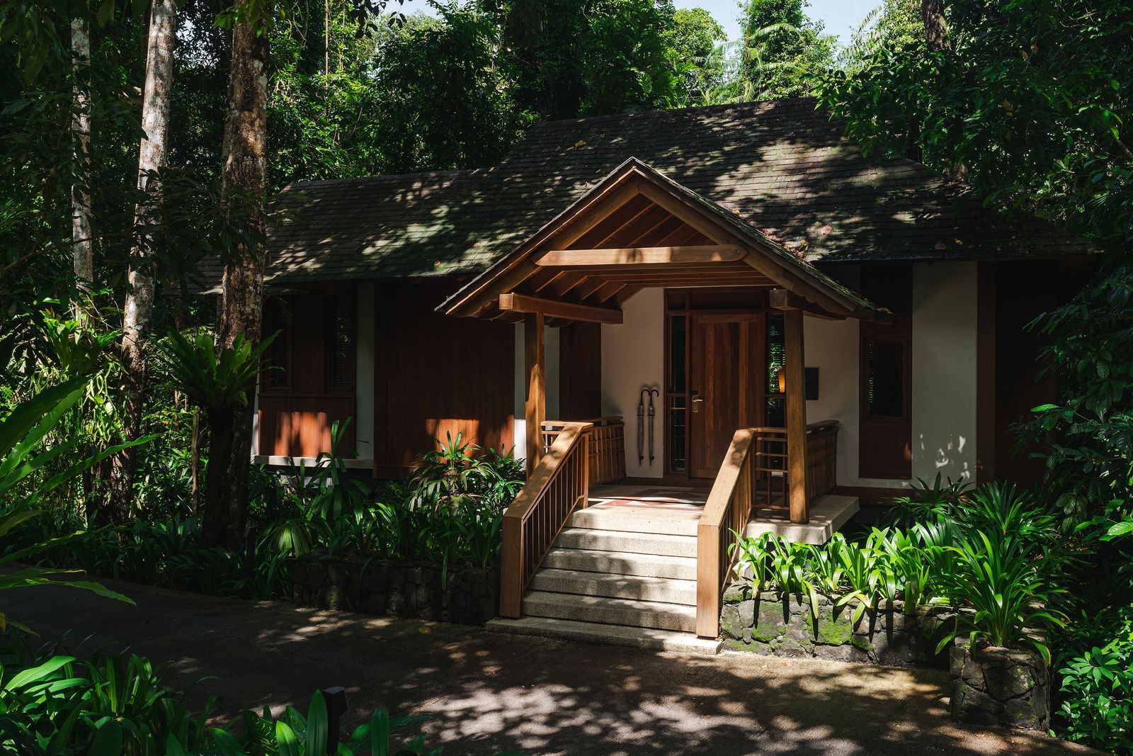 Laptop and coffee set up on a rainforest villa balcony overlooking the canopy
