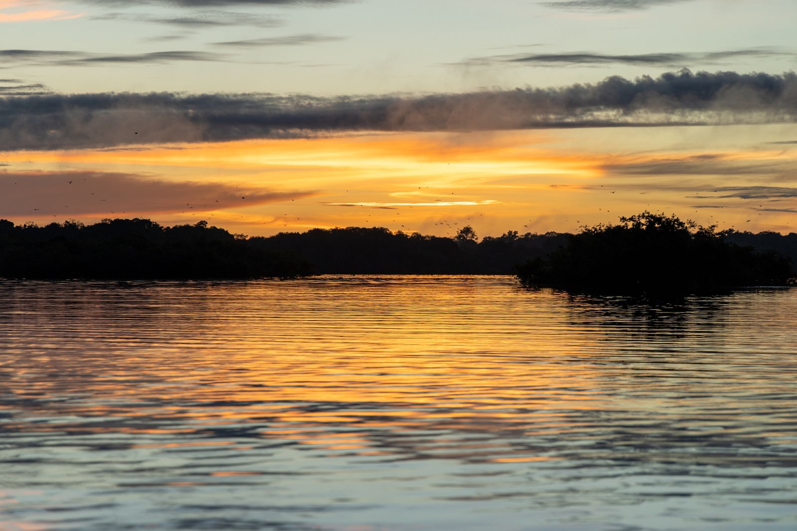 A wide Amazon rainforest river bending through dense forest canopy