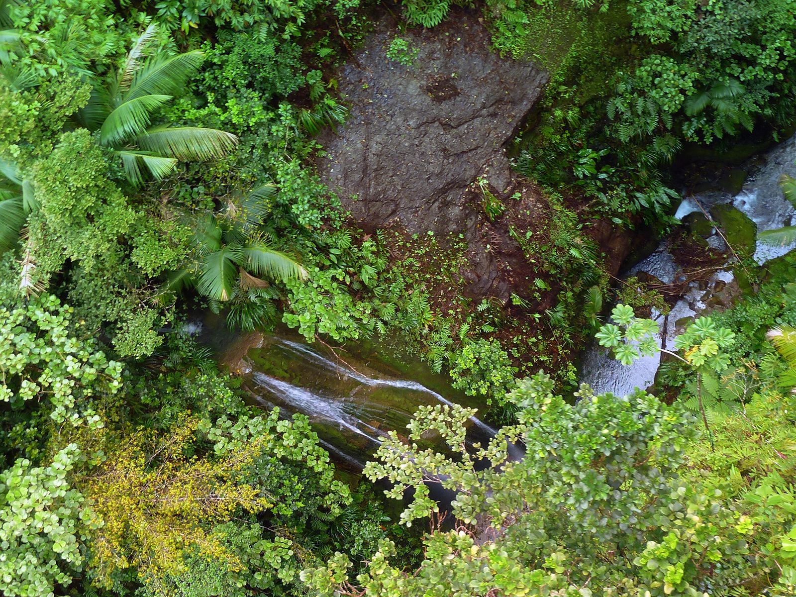 A waterfall dropping through dense Dominica rainforest