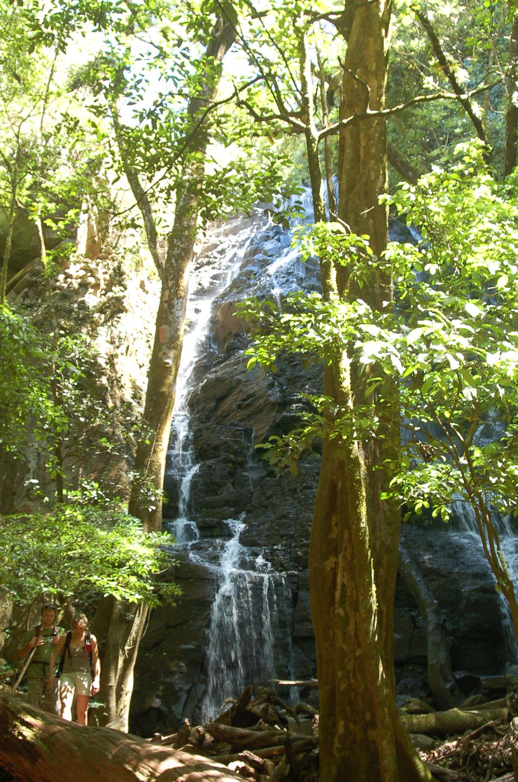 The Best Jungle Airbnbs Near Waterfalls