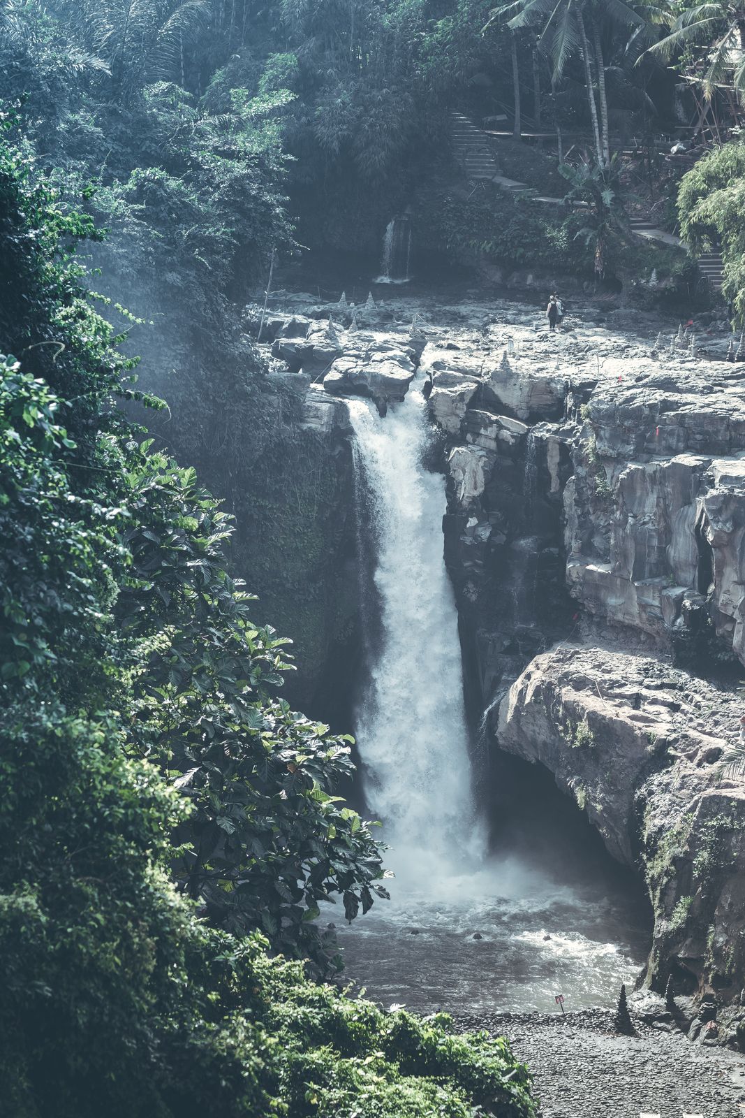 A jungle waterfall in Bali dropping through dense tropical forest into a pool