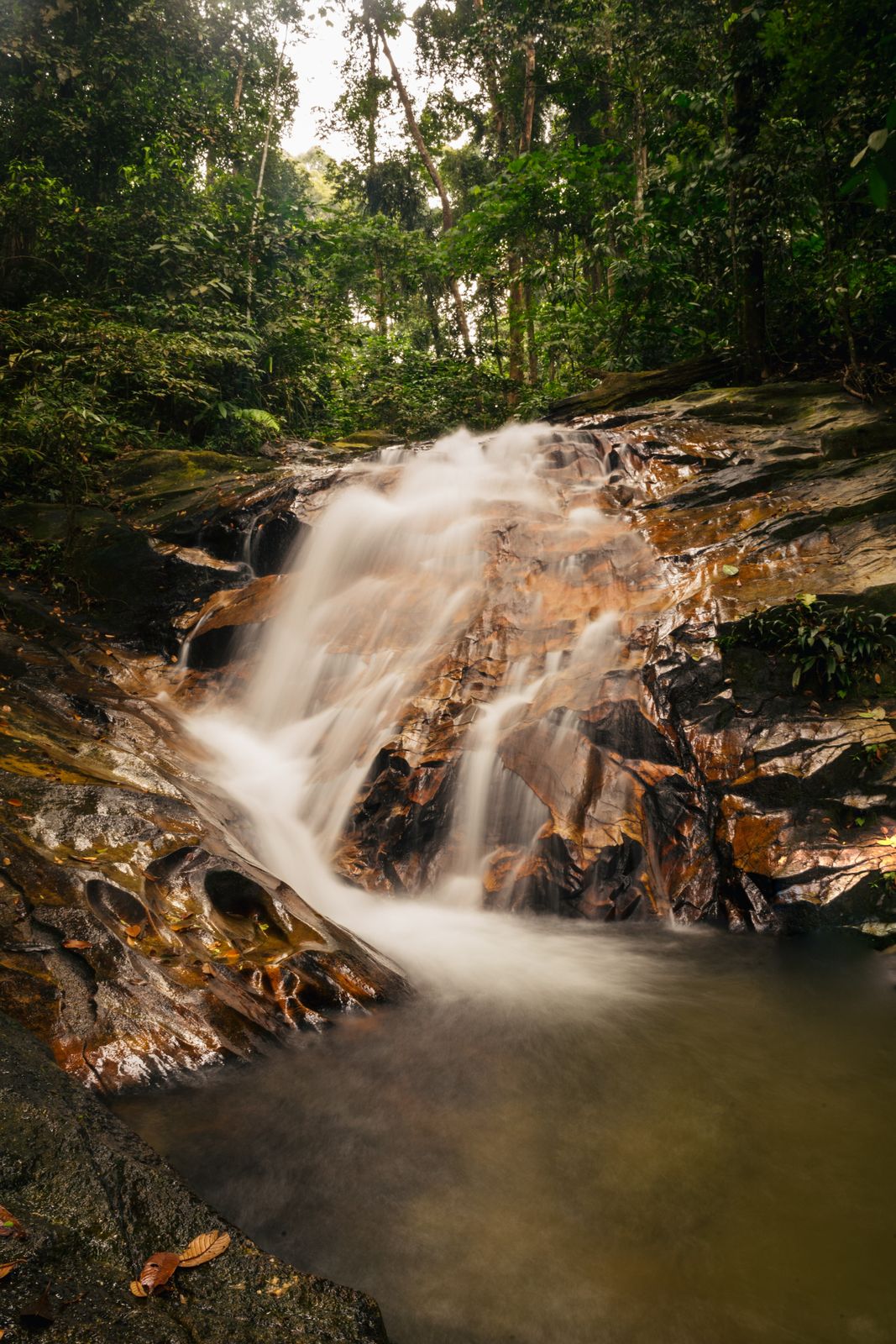 A tall waterfall dropping through layered tropical rainforest canopy