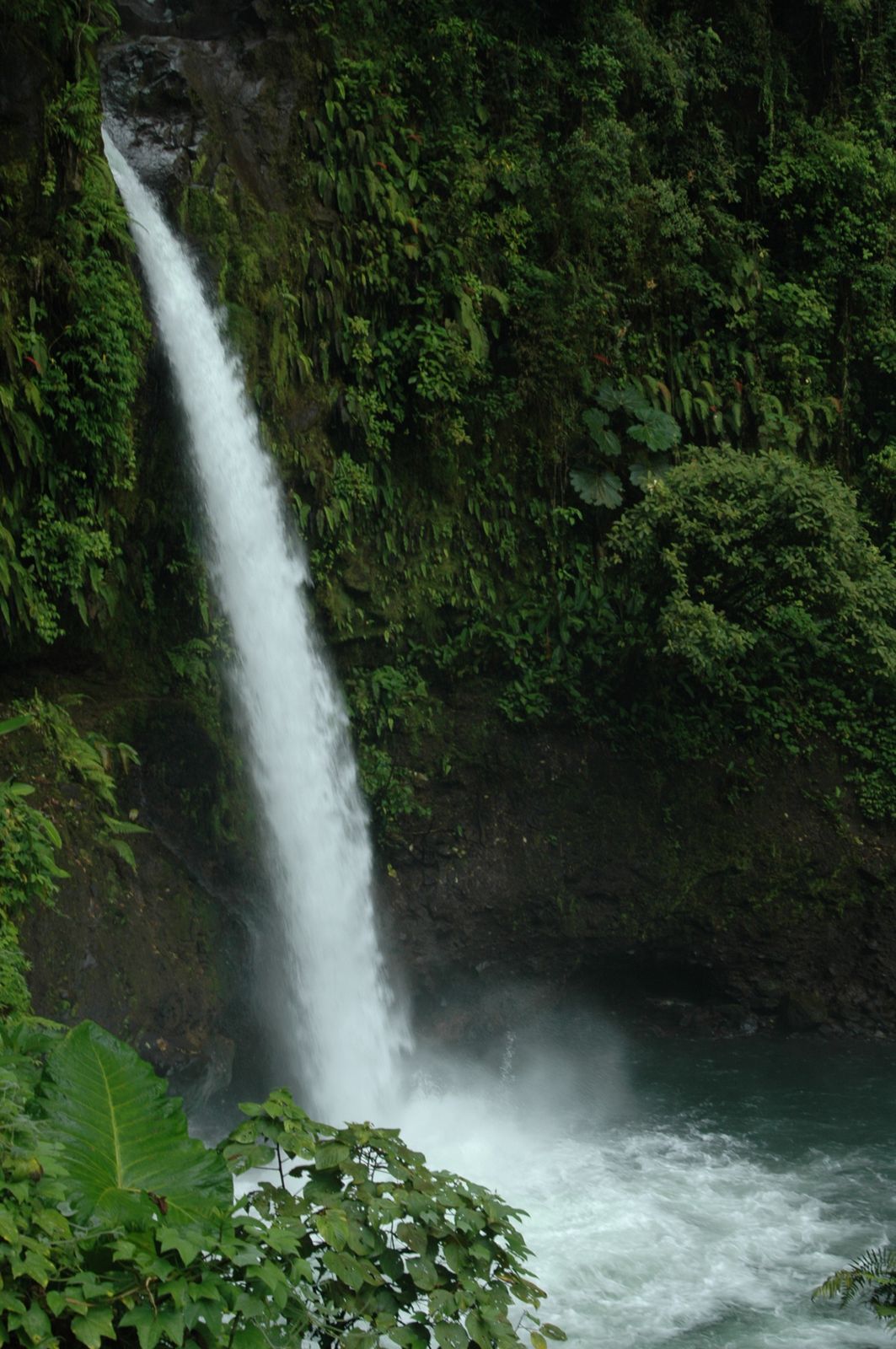 A waterfall in the Costa Rican jungle surrounded by dense rainforest