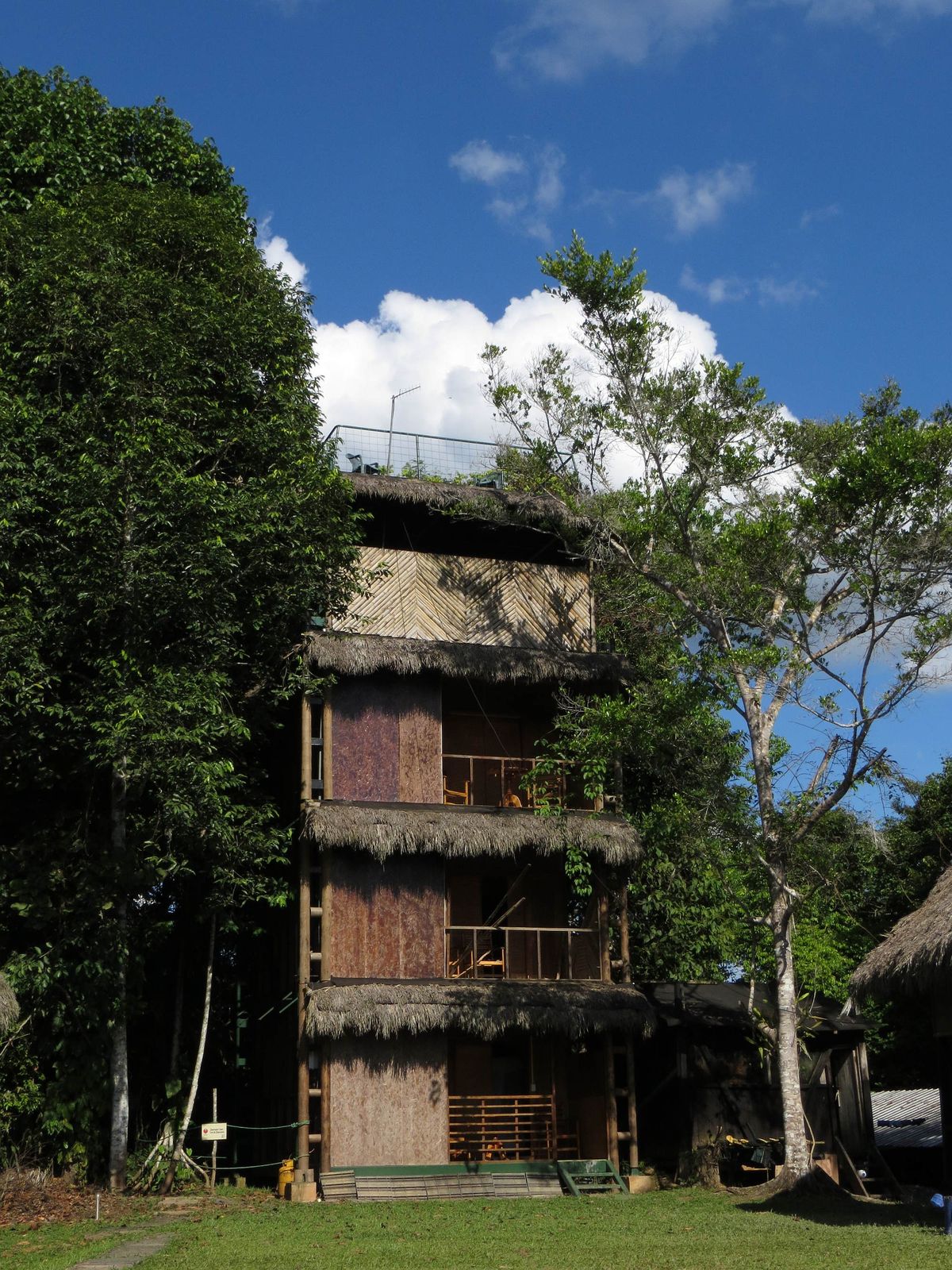 A multi-storey thatched-roof rainforest lodge tower rising above the jungle canopy, with an open viewing platform on its roof