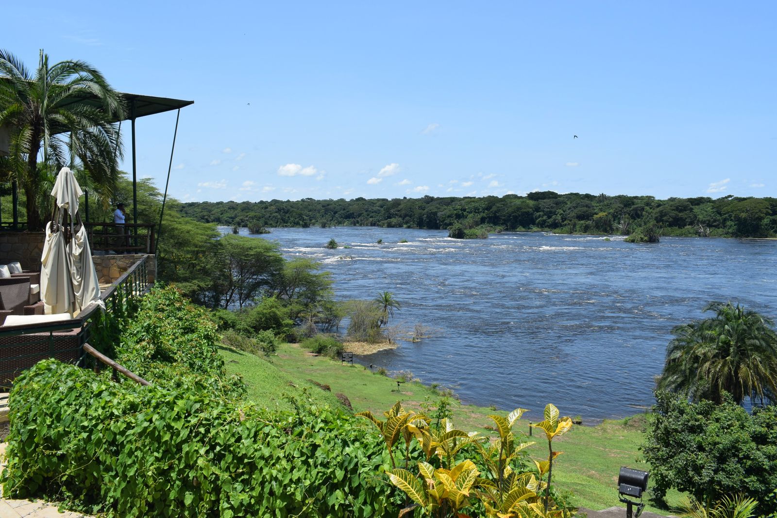 A jungle lodge terrace with a thatched pavilion and seating overlooking a wide forested river with rapids