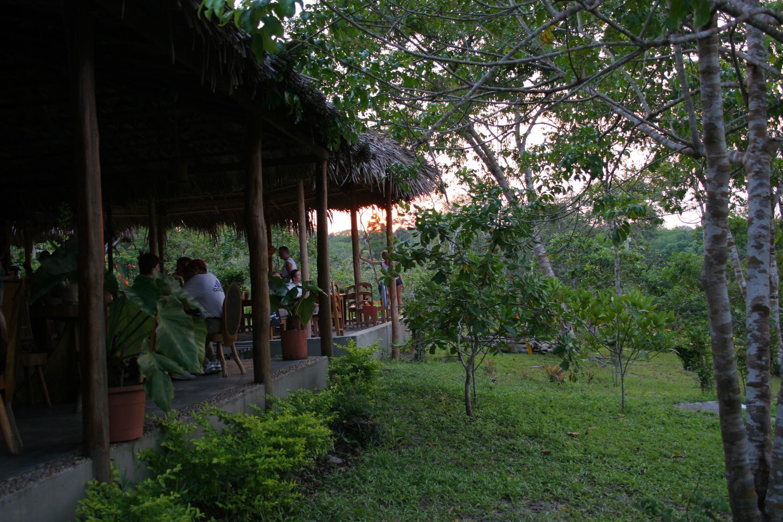 Guests seated at an open-air, thatched-roof jungle dining pavilion at dusk, surrounded by trees