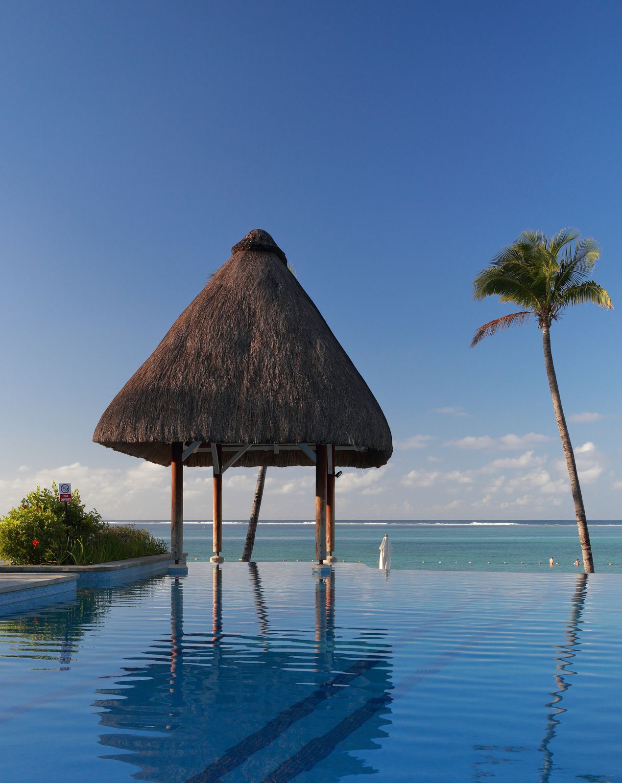 Infinity pool with an uninterrupted view over the rainforest canopy