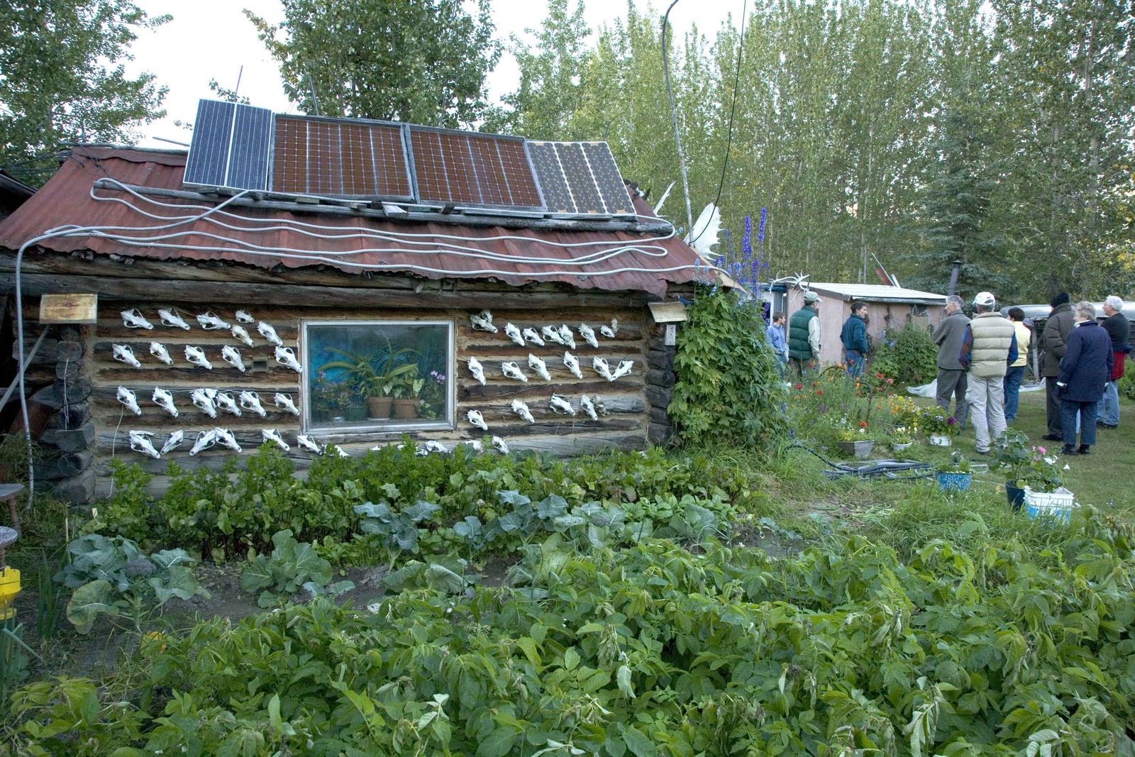 A simple wood cabin with a small solar panel array mounted nearby