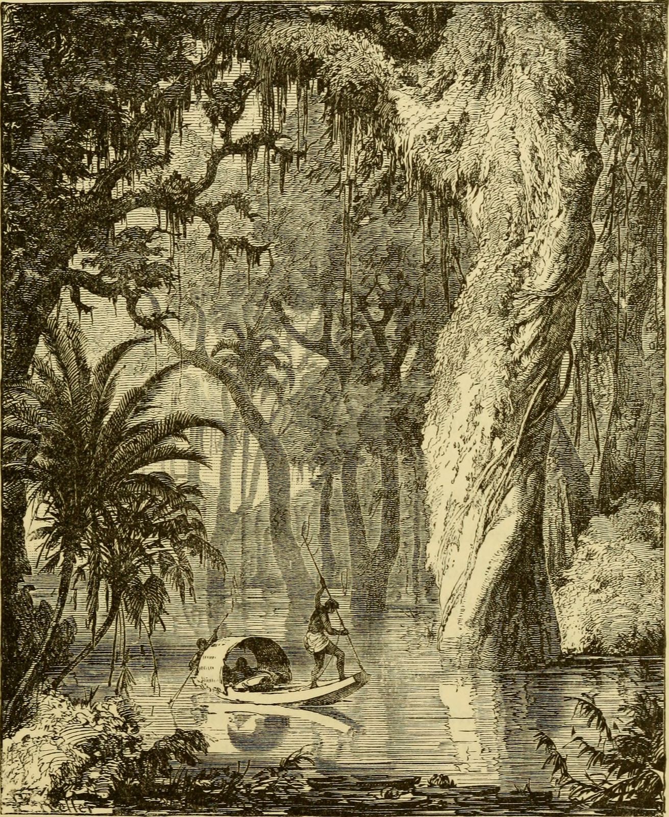 Best Time to Visit the Amazon