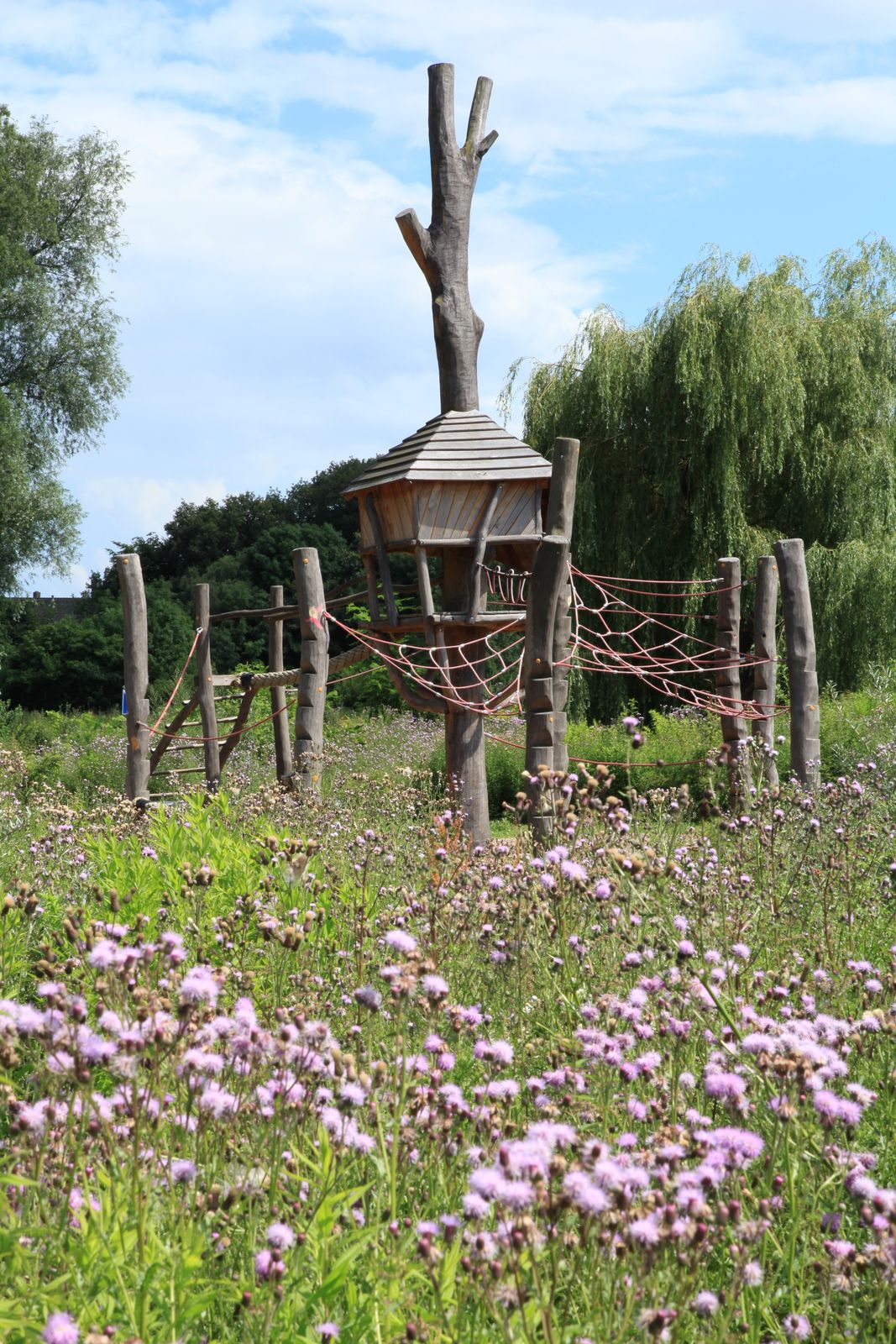 A timber treehouse platform built up into the jungle canopy