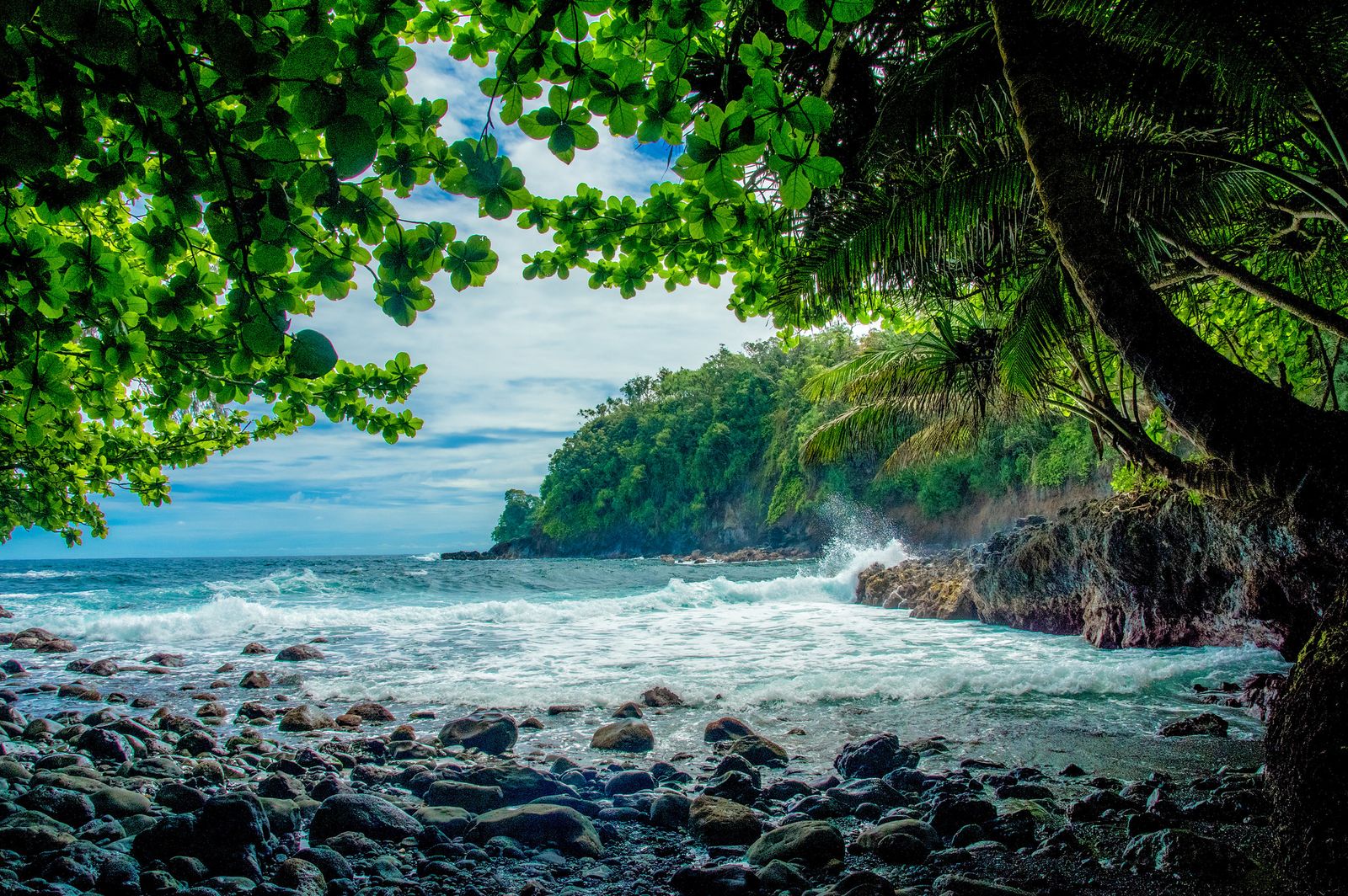 A waterfall dropping through dense green rainforest on Hawaii's Hamakua coast