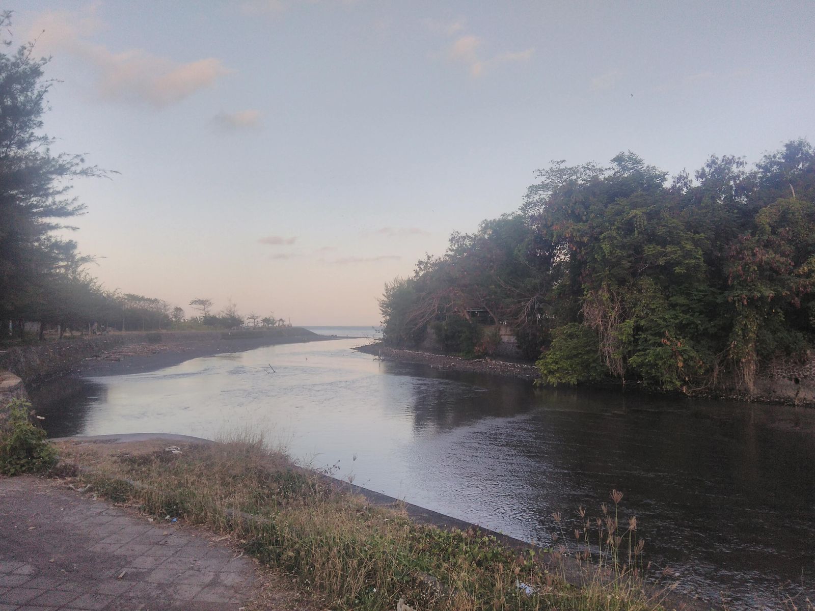 The Ayung River flowing through a jungle gorge in Bali