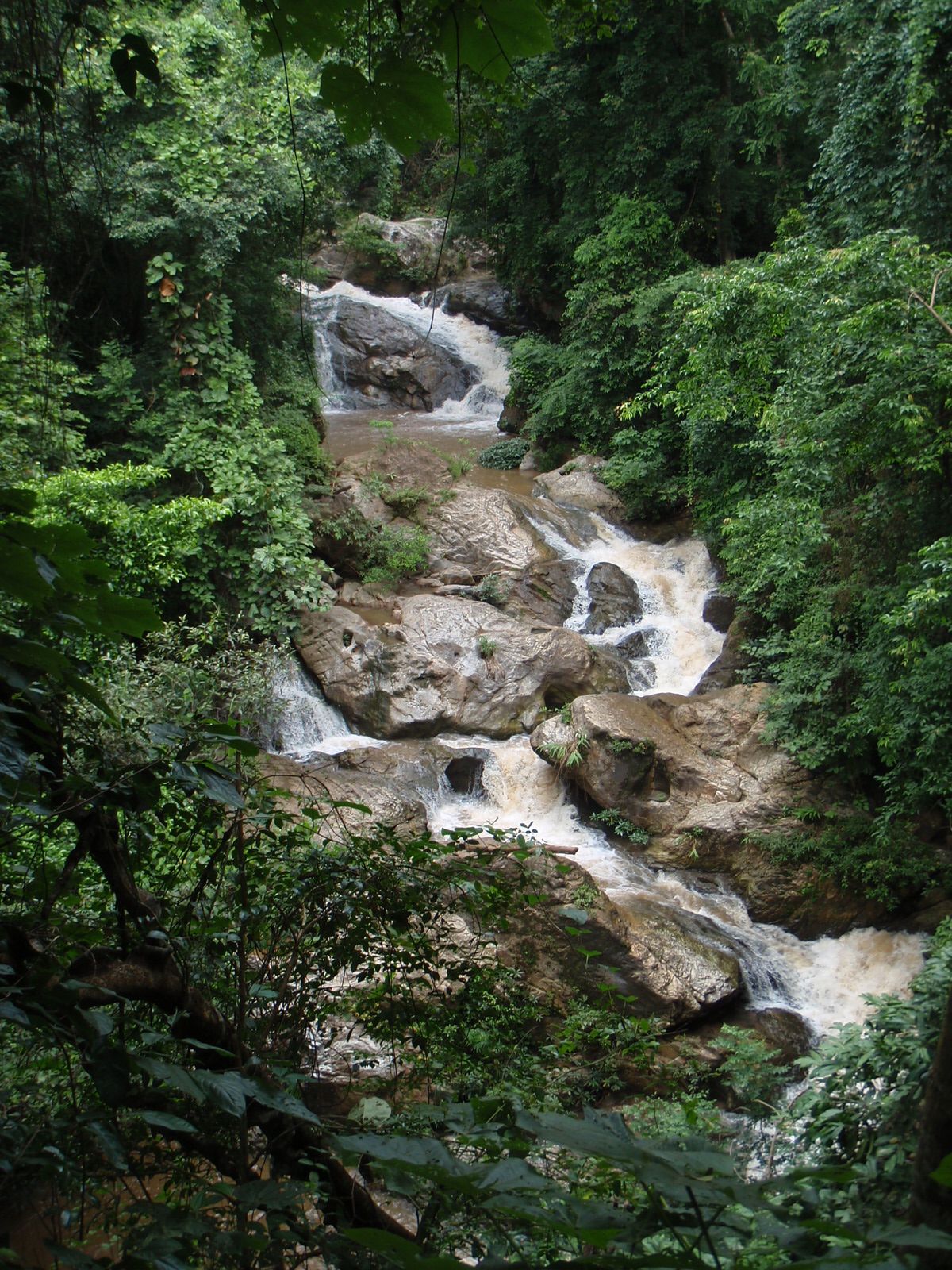 Chiang Mai Jungle & Northern Thailand Guide
