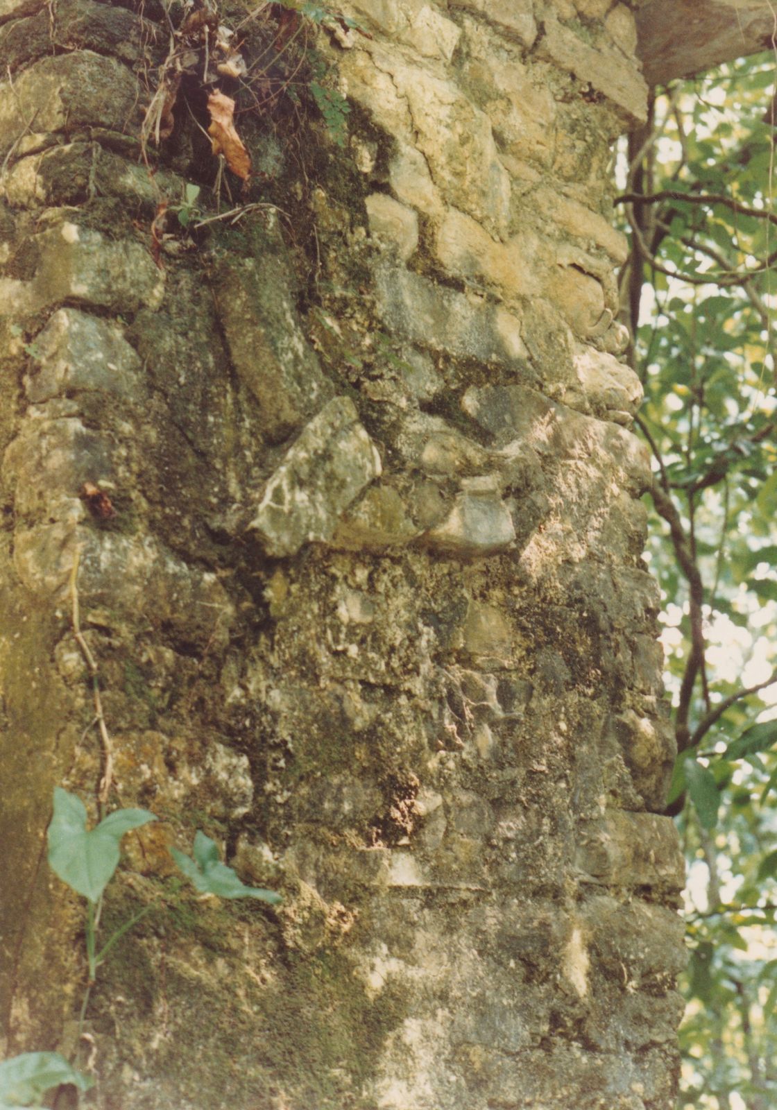 Chiapas & the Lacandon Jungle Guide
