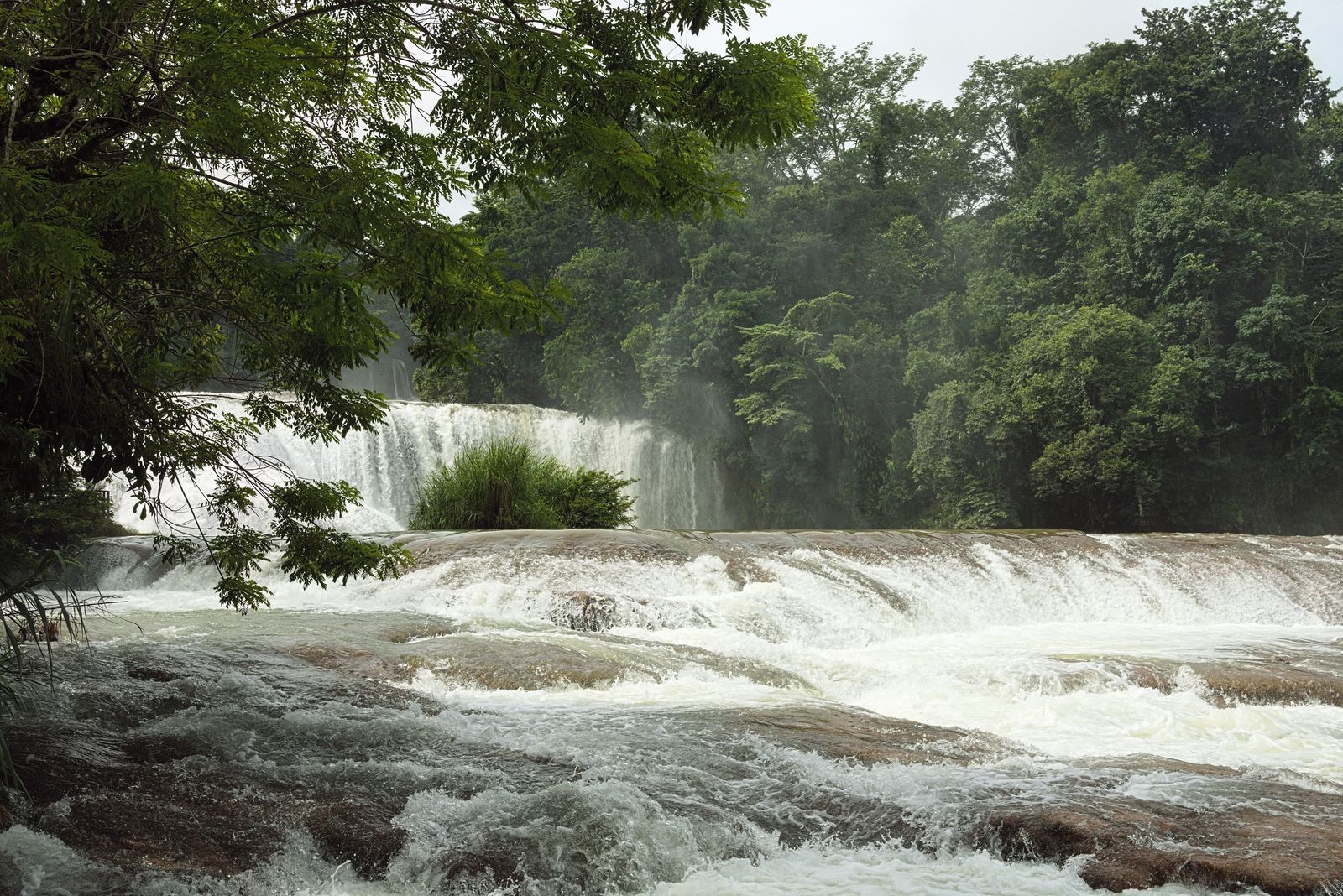 The turquoise, stepped cascades of Agua Azul waterfall in Chiapas, Mexico, flowing through dense jungle