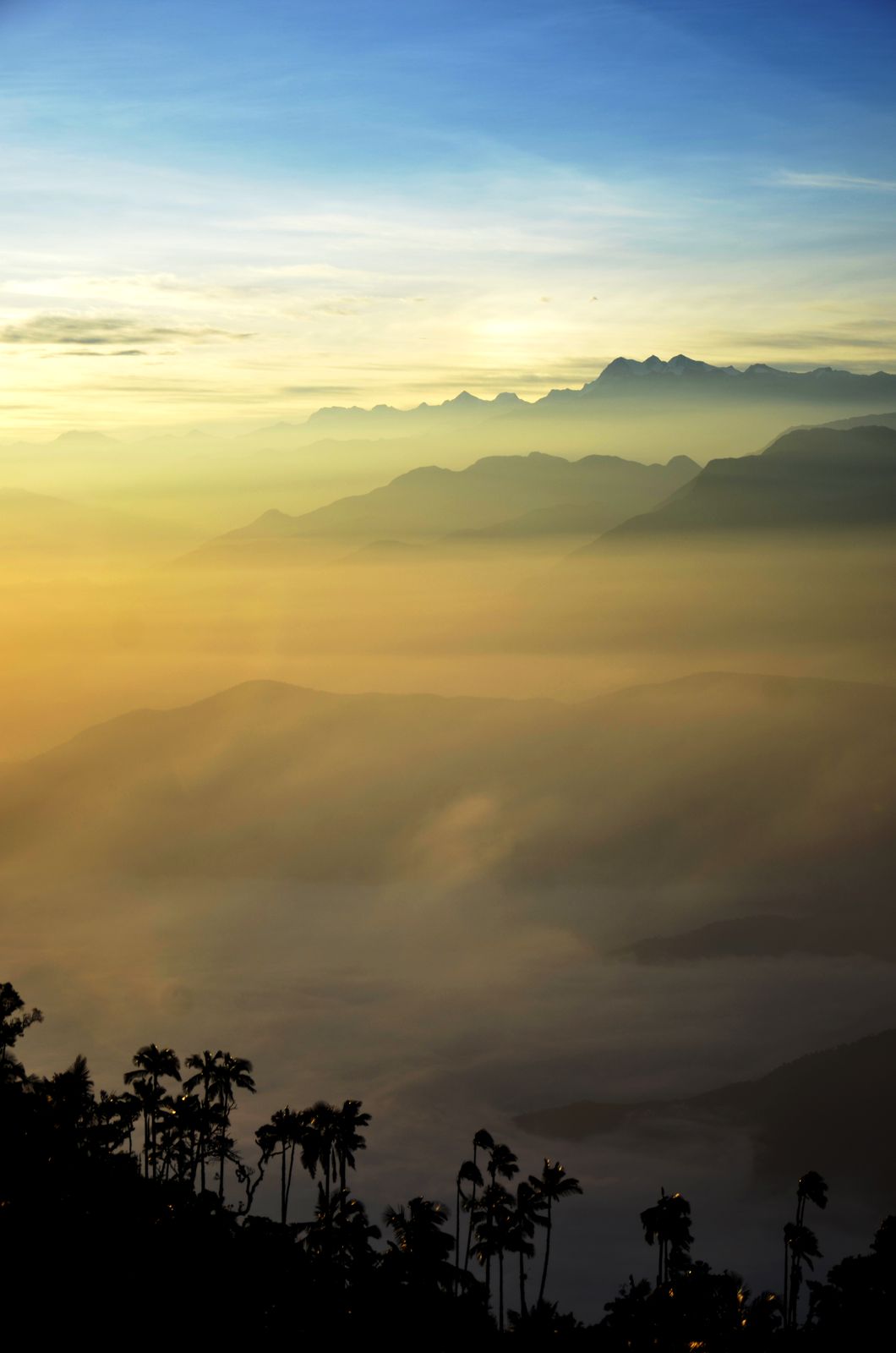 Colombia Jungle Travel Guide