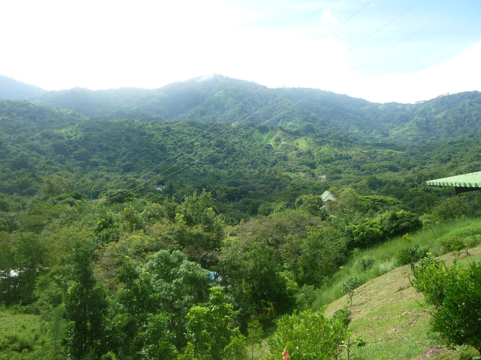 Cloud forest and green hillsides above the hill town of Minca in the Sierra Nevada de Santa Marta, Colombia
