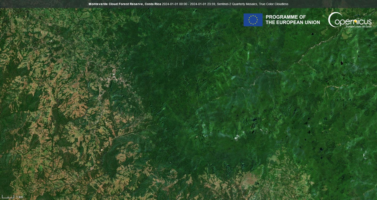 Aerial satellite view of the Monteverde Cloud Forest Reserve, showing a sharp boundary between unbroken protected forest canopy and cleared farmland