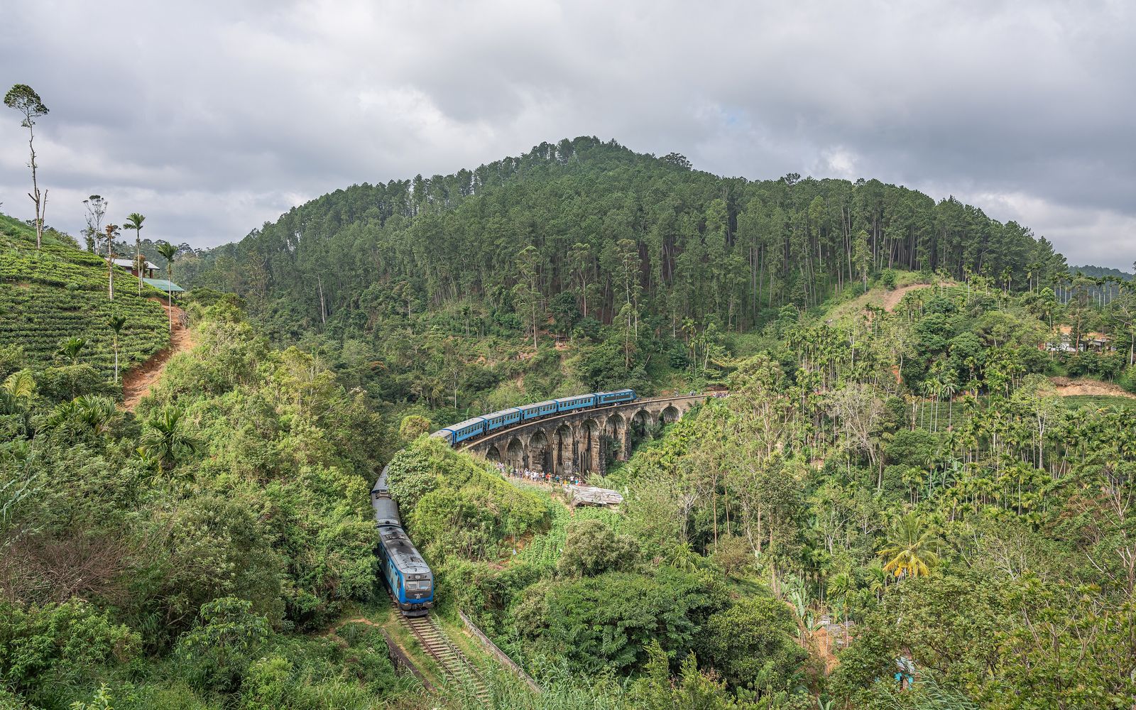 Ella & Sri Lanka Hill Country Guide