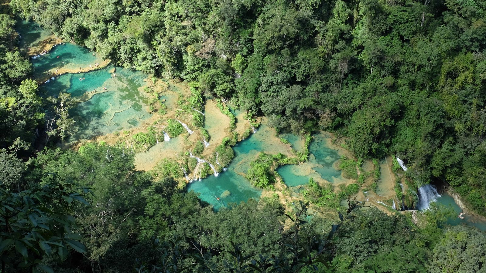 The tiered turquoise limestone pools of Semuc Champey in Guatemala, surrounded by jungle