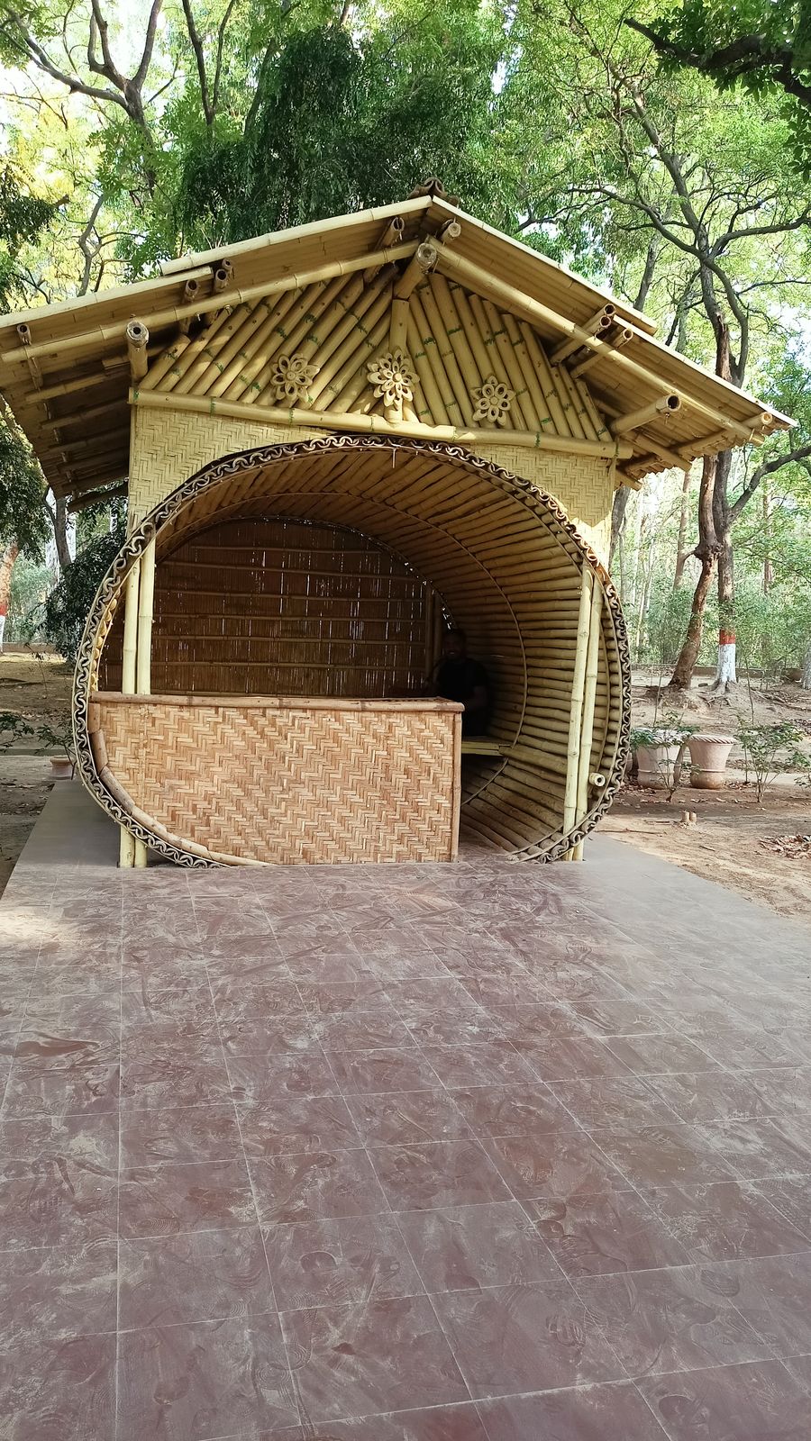 How to Book a Jungle Airbnb (What to Check)