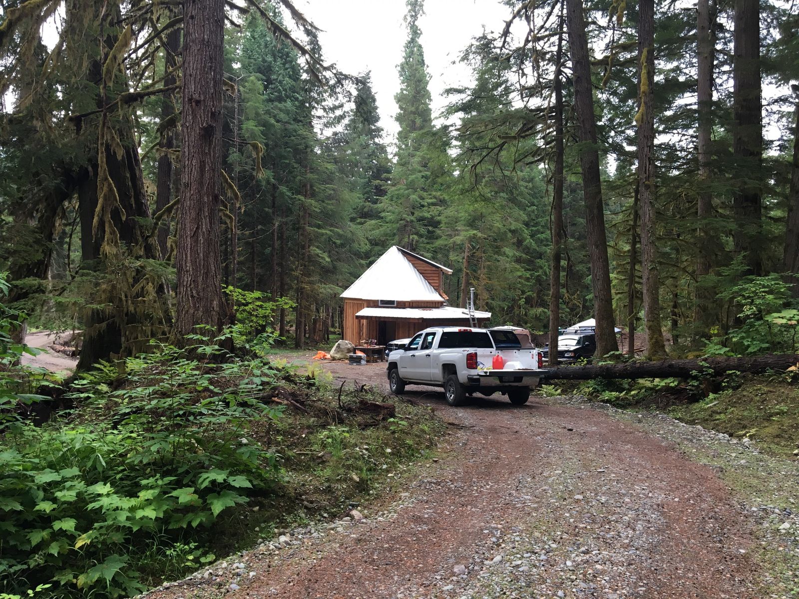 The interior of a rainforest cabin with natural wood beams, simple furnishings and large screened openings letting in daylight