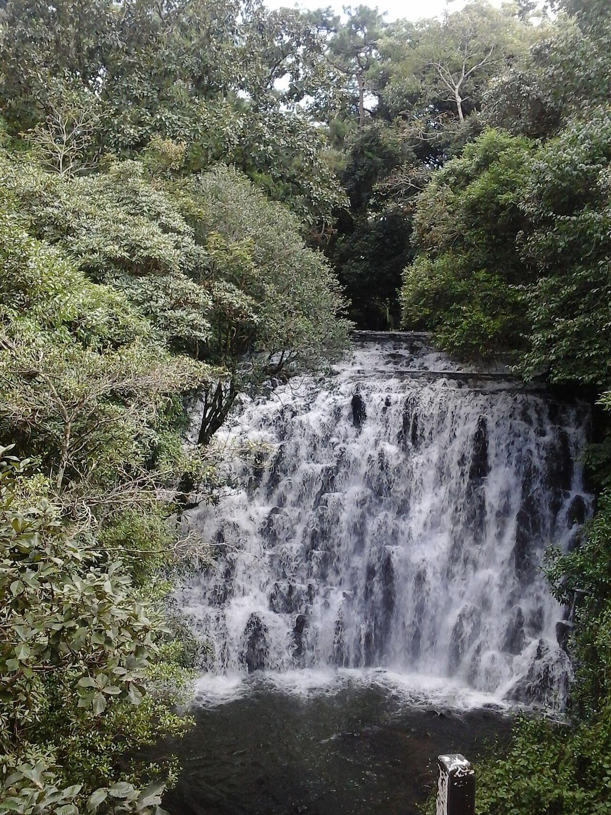 A waterfall dropping through dense rainforest in the Western Ghats of India
