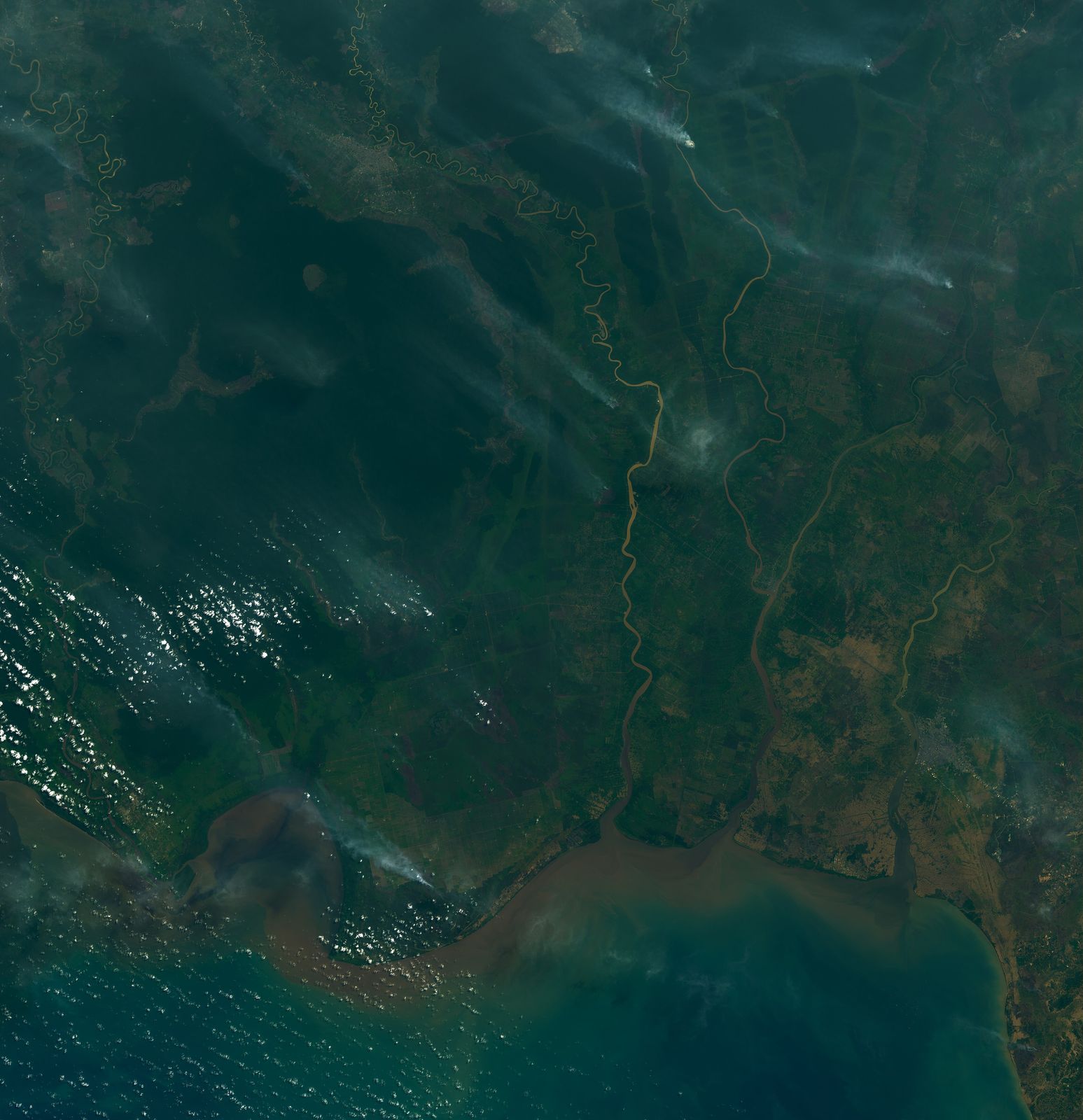 A calm rainforest river winding through dense jungle in Indonesia, the kind of blackwater river used for klotok boat travel in Kalimantan