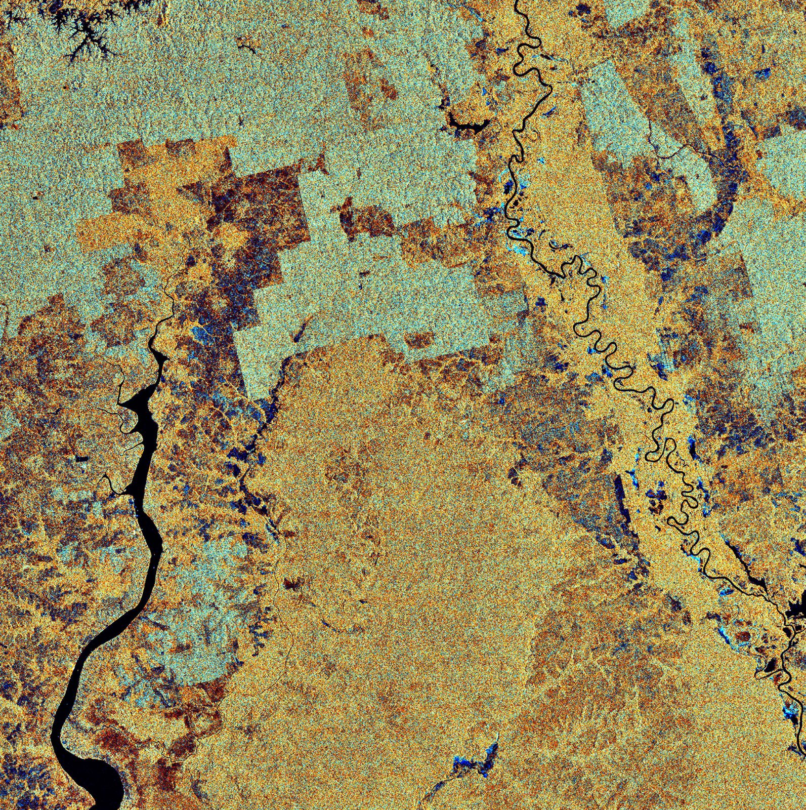 Lush green rainforest hillside in Kalimantan, Indonesian Borneo, showing the dense forest canopy of the region