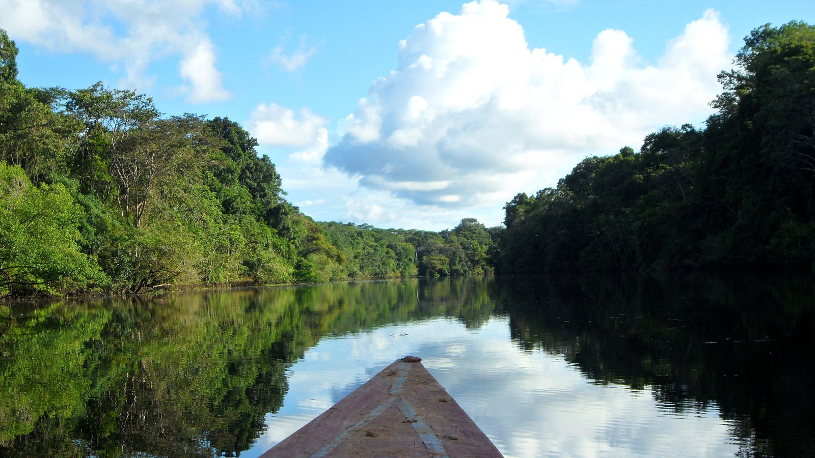 Flooded rainforest waterway inside Pacaya-Samiria National Reserve, Peru