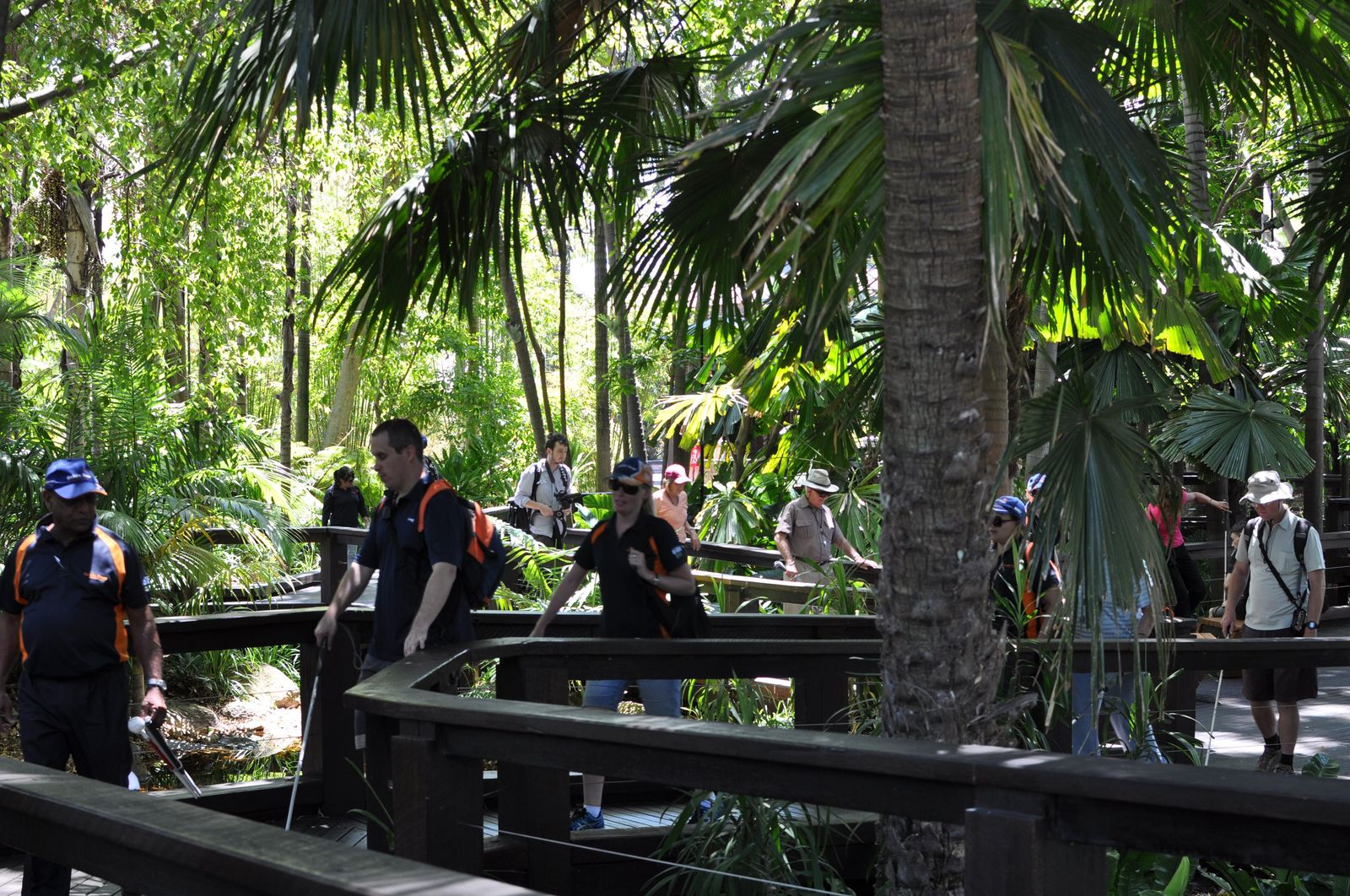 A guide leading a small group along a rainforest trail
