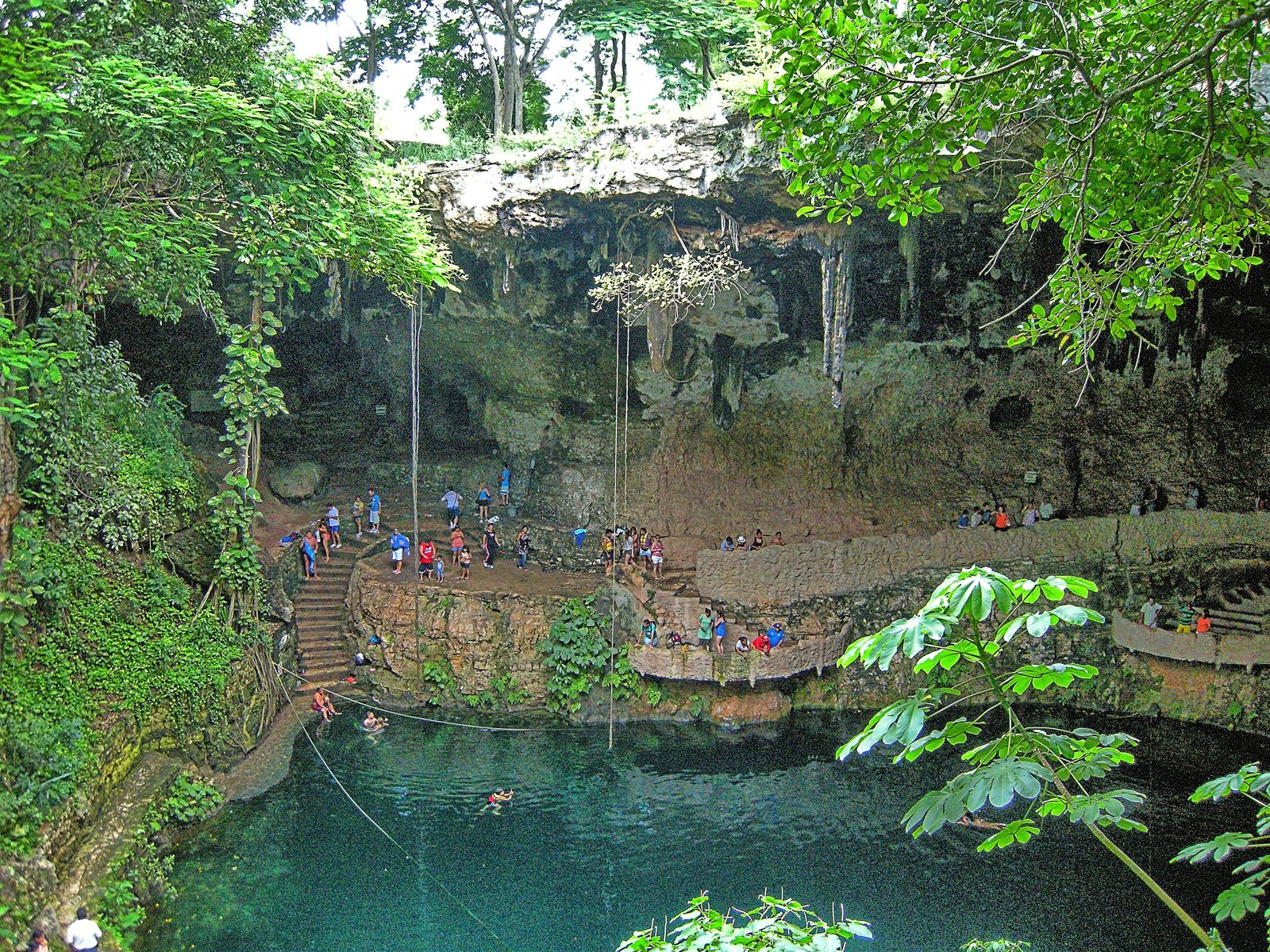 A cenote pool surrounded by jungle vegetation, lit from an opening above