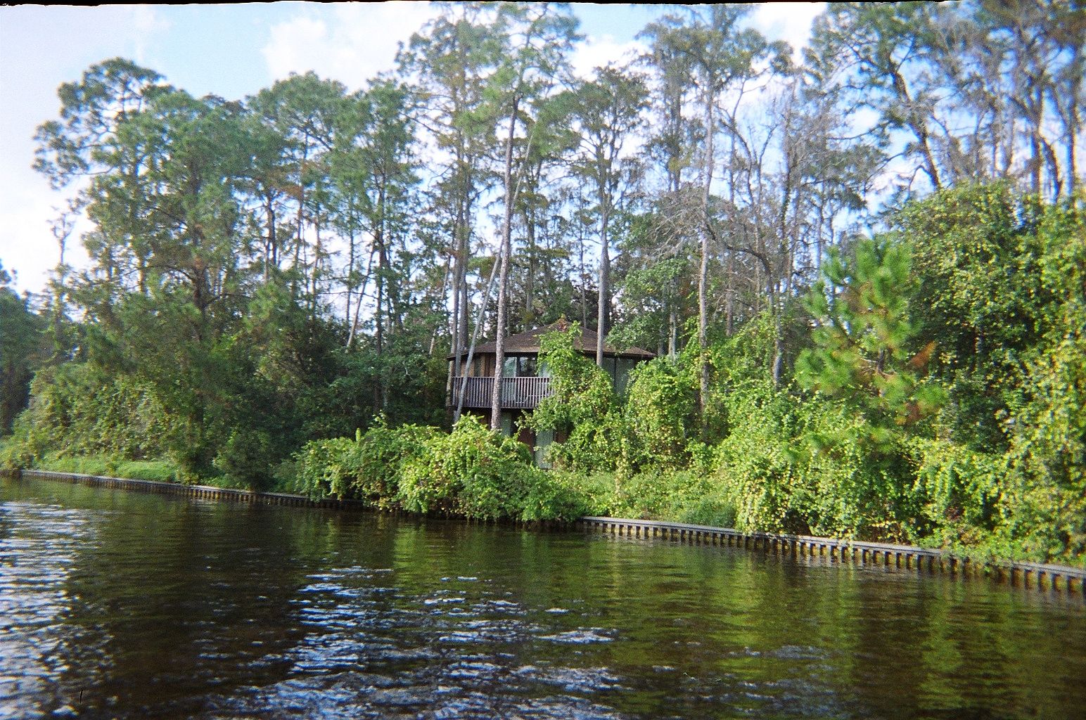 A wood-clad house raised on posts among tall pines at the edge of still water, its lower level almost hidden by dense undergrowth
