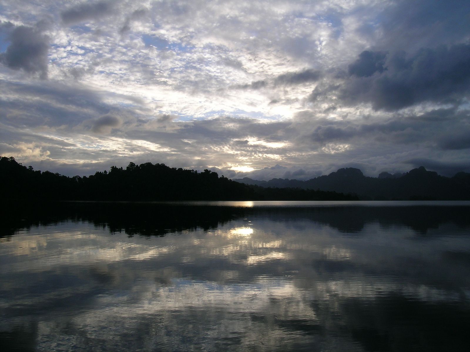 Dense rainforest canopy and limestone karst peaks in Khao Sok National Park, Thailand