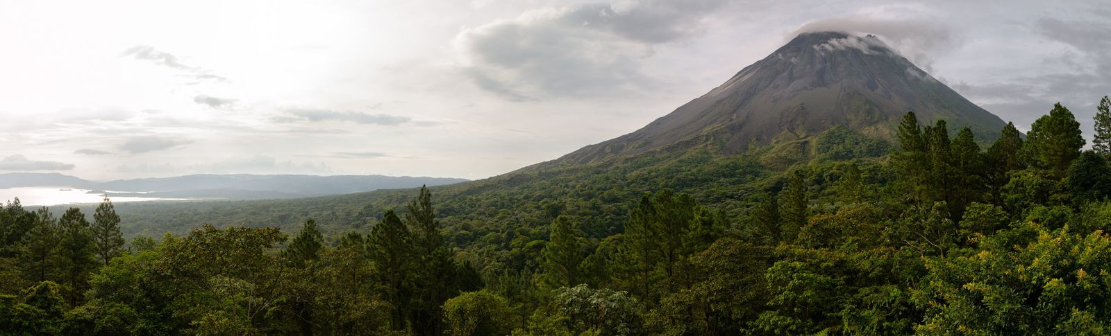 Arenal Volcano's near-perfect cone rising above forest and pine trees, with Lake Arenal visible in the distance
