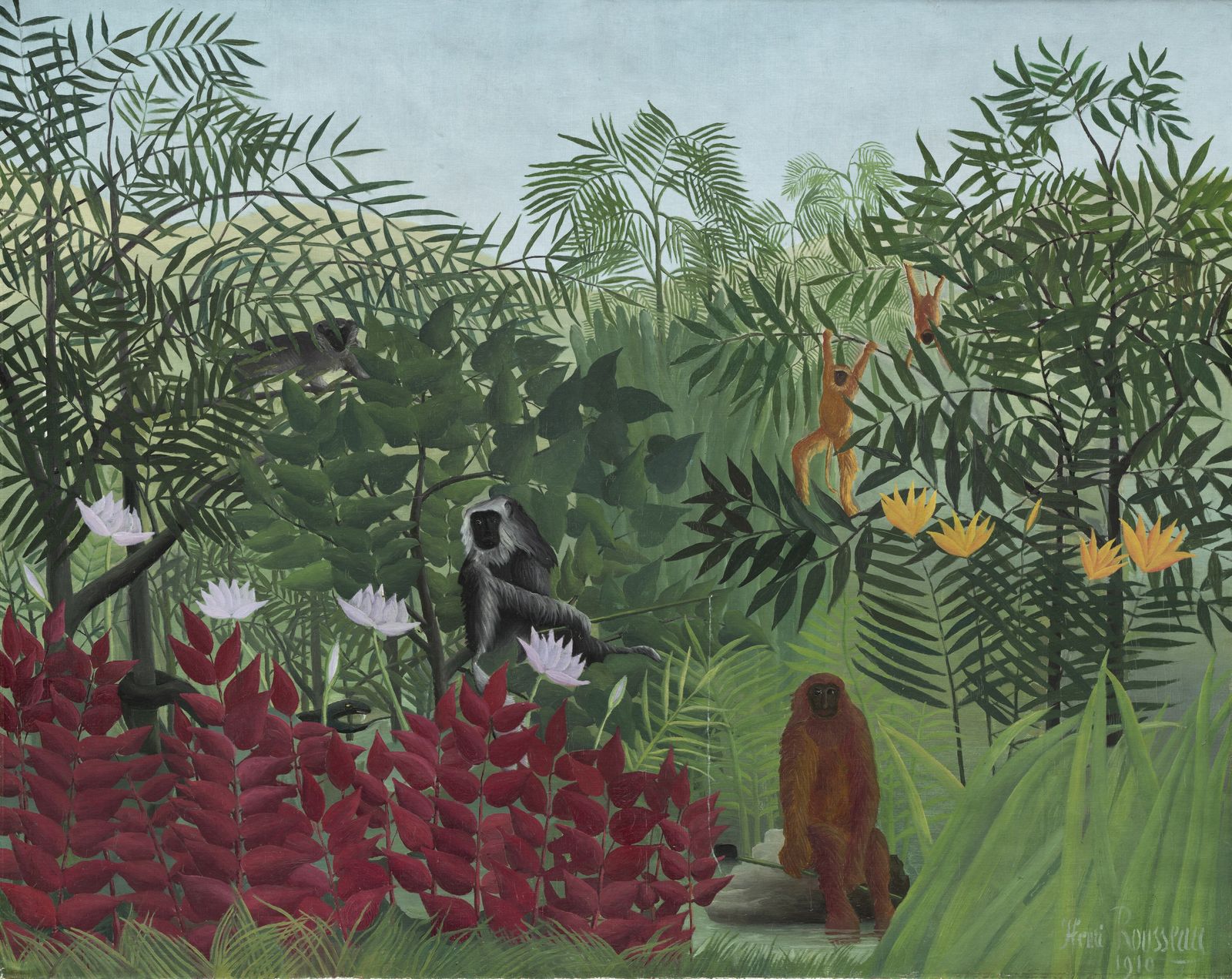 A monkey in tropical rainforest habitat