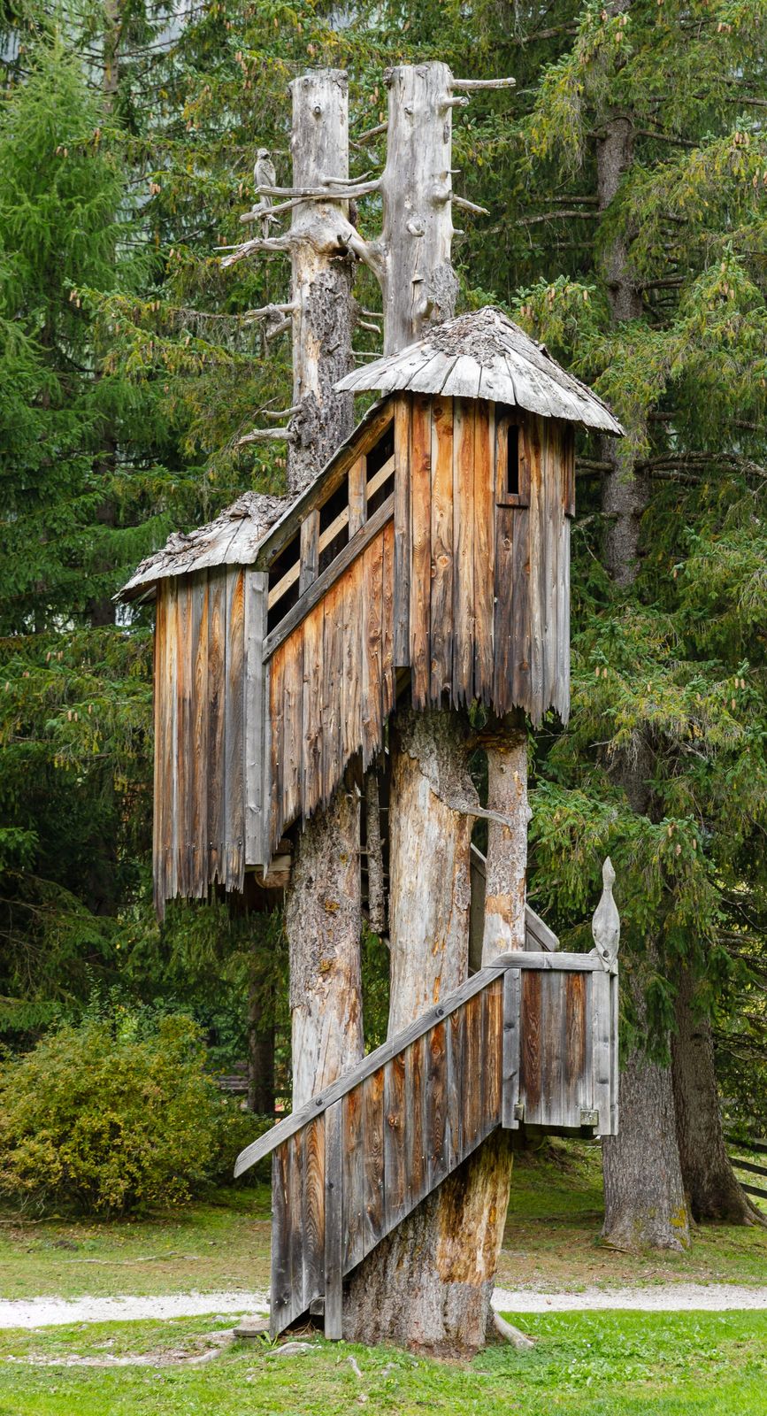 A stilted treehouse raised into ohia and fern jungle on Hawaii's Big Island