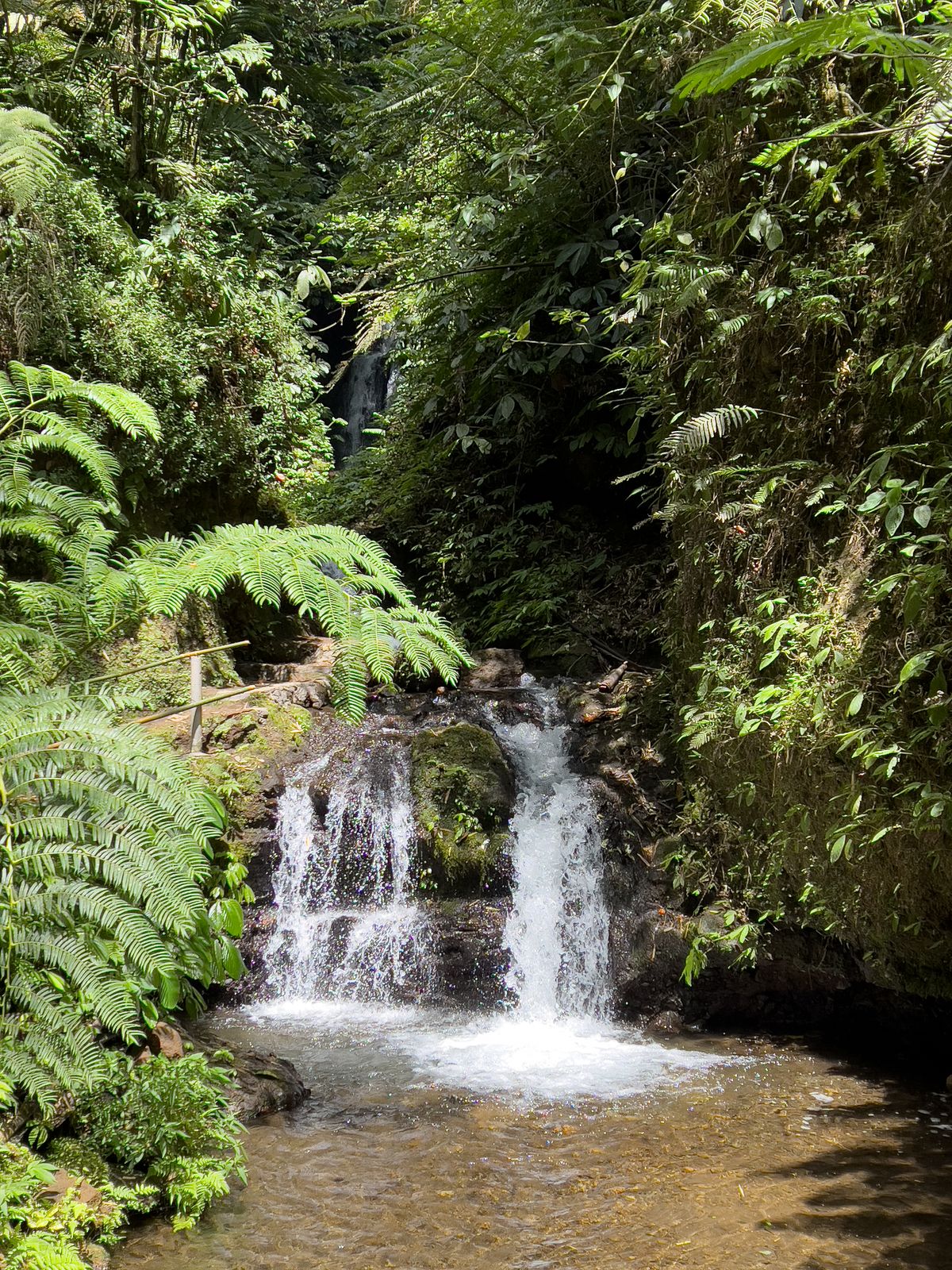 Munduk & North Bali Highlands Guide