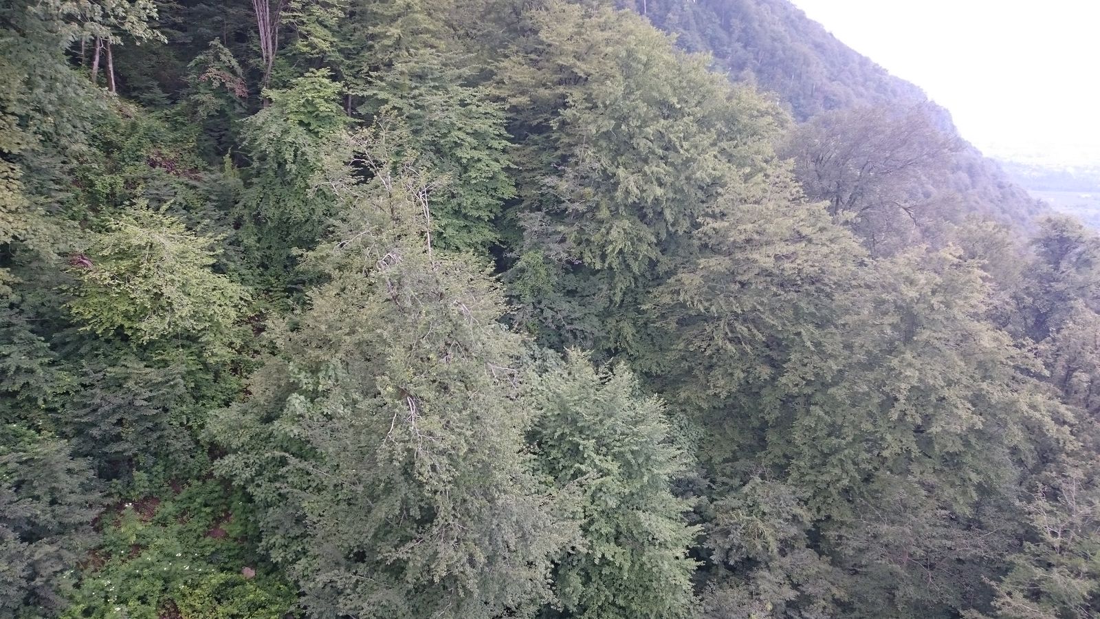 Off-Grid Jungle Stays: What to Expect — JungleBnB